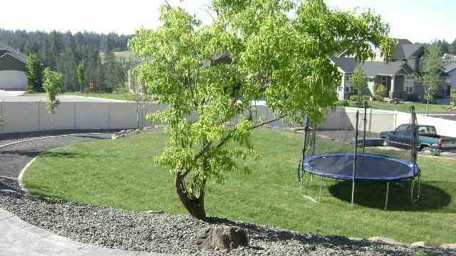 6402 South Springview Street Spokane, WA 99224 - Photo 13 of 20 Gallery Image 13