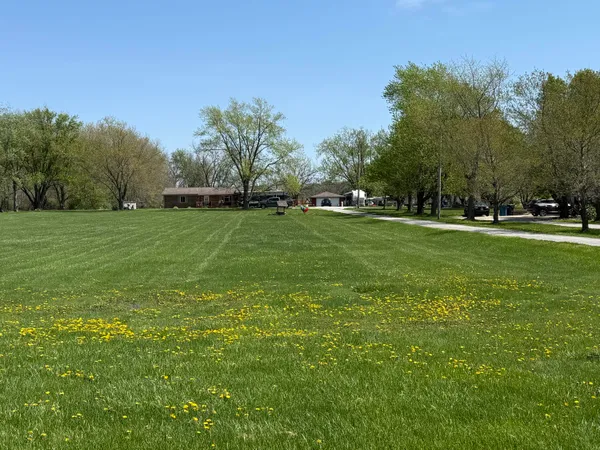 a view of a big yard with plants and large trees