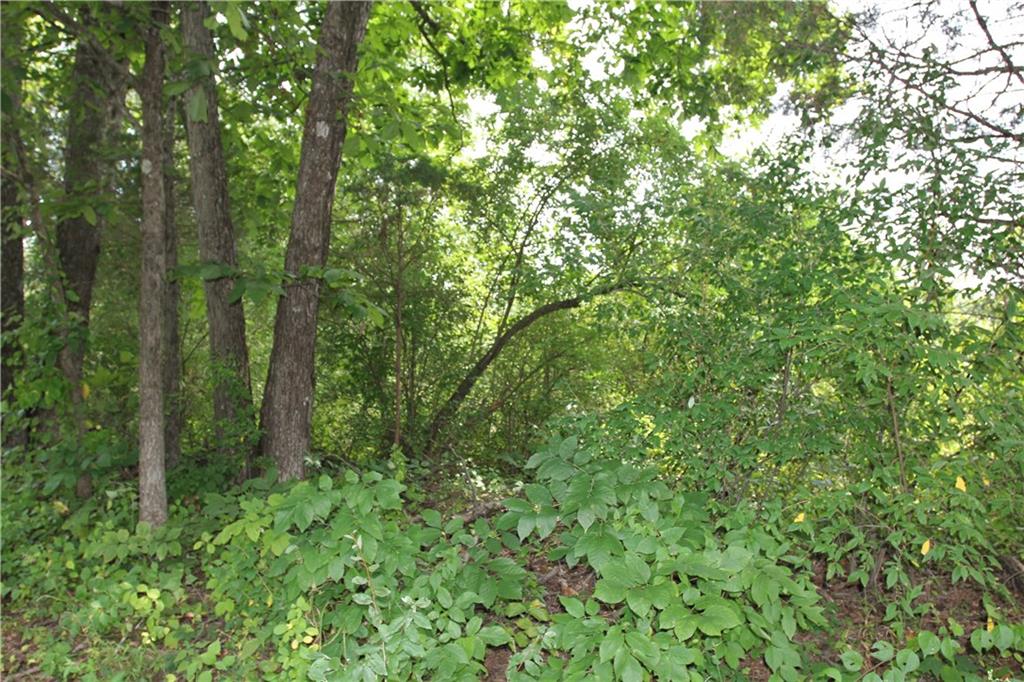 7622 South Becks Grove Road Freetown, IN 47235 - Photo 13 of 23