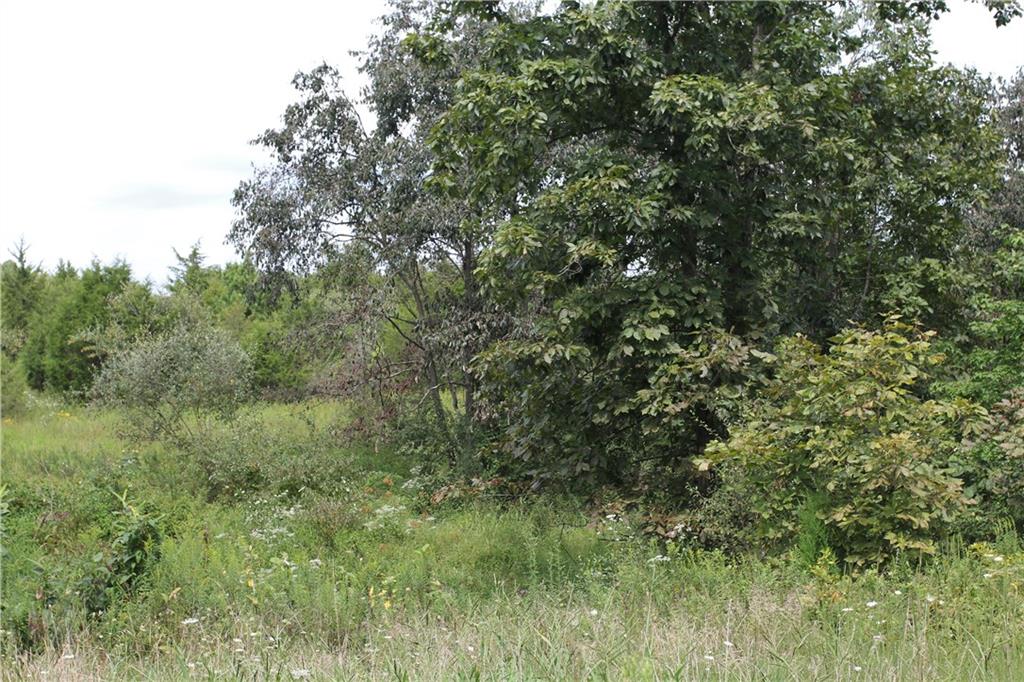 7622 South Becks Grove Road Freetown, IN 47235 - Photo 17 of 23