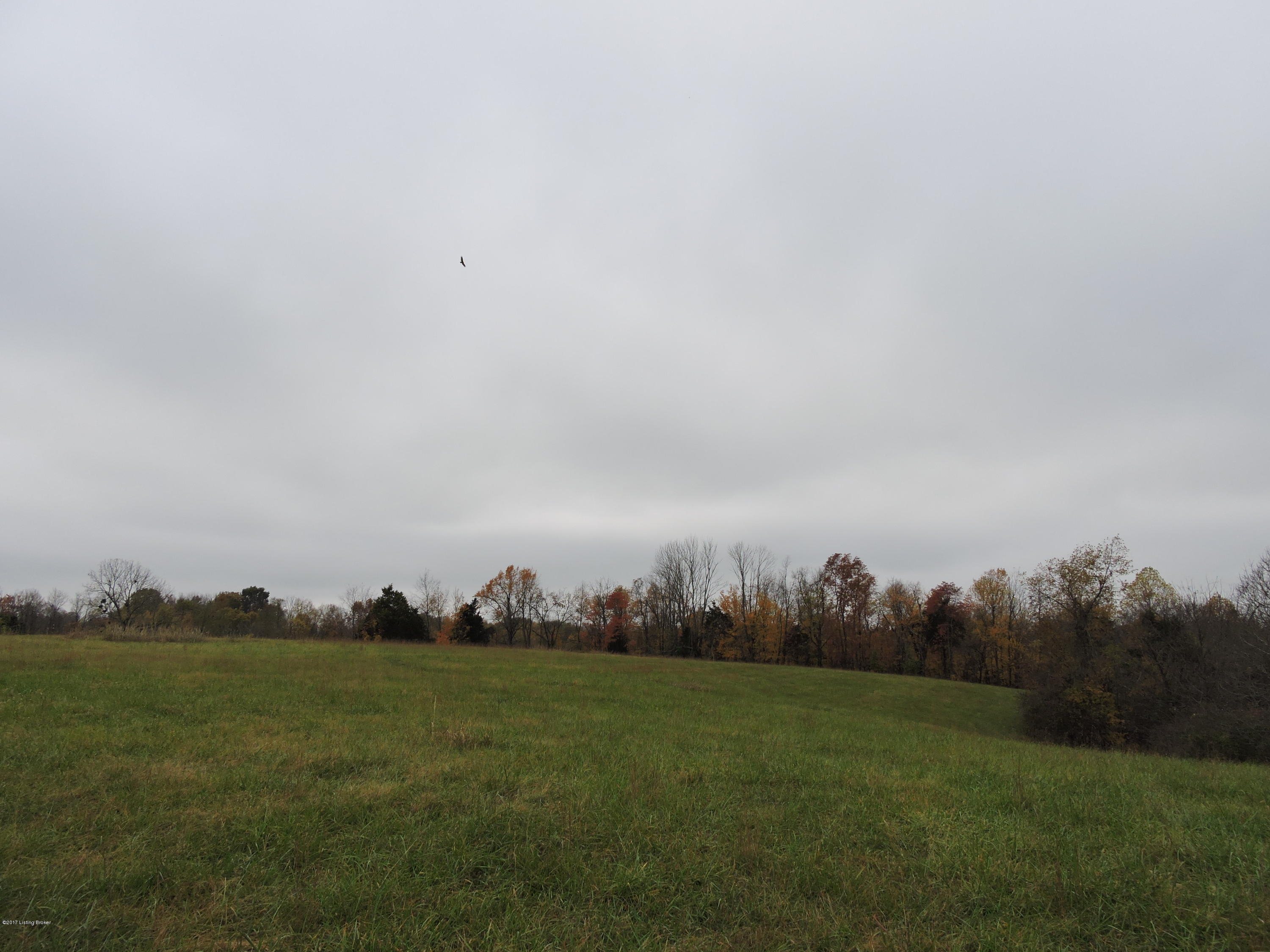 Lot 1-2-3 Lot 1-2-3 Drake Ridge Road Bloomfield, KY 40008 - Photo 10 of 22 DSCN7642