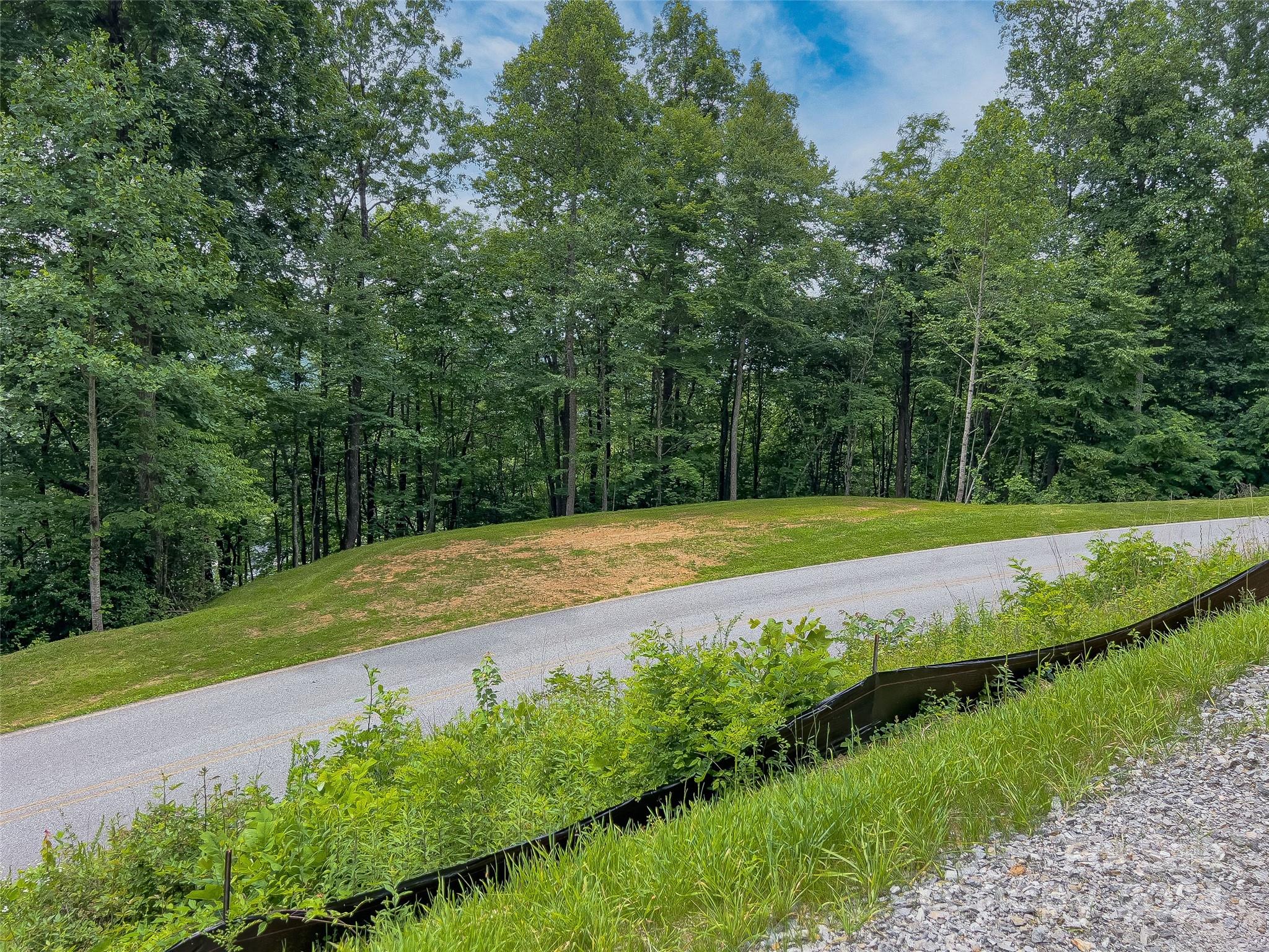 99999 Cliffs Ridge Parkway Arden, NC 28704 - Photo 12 of 23