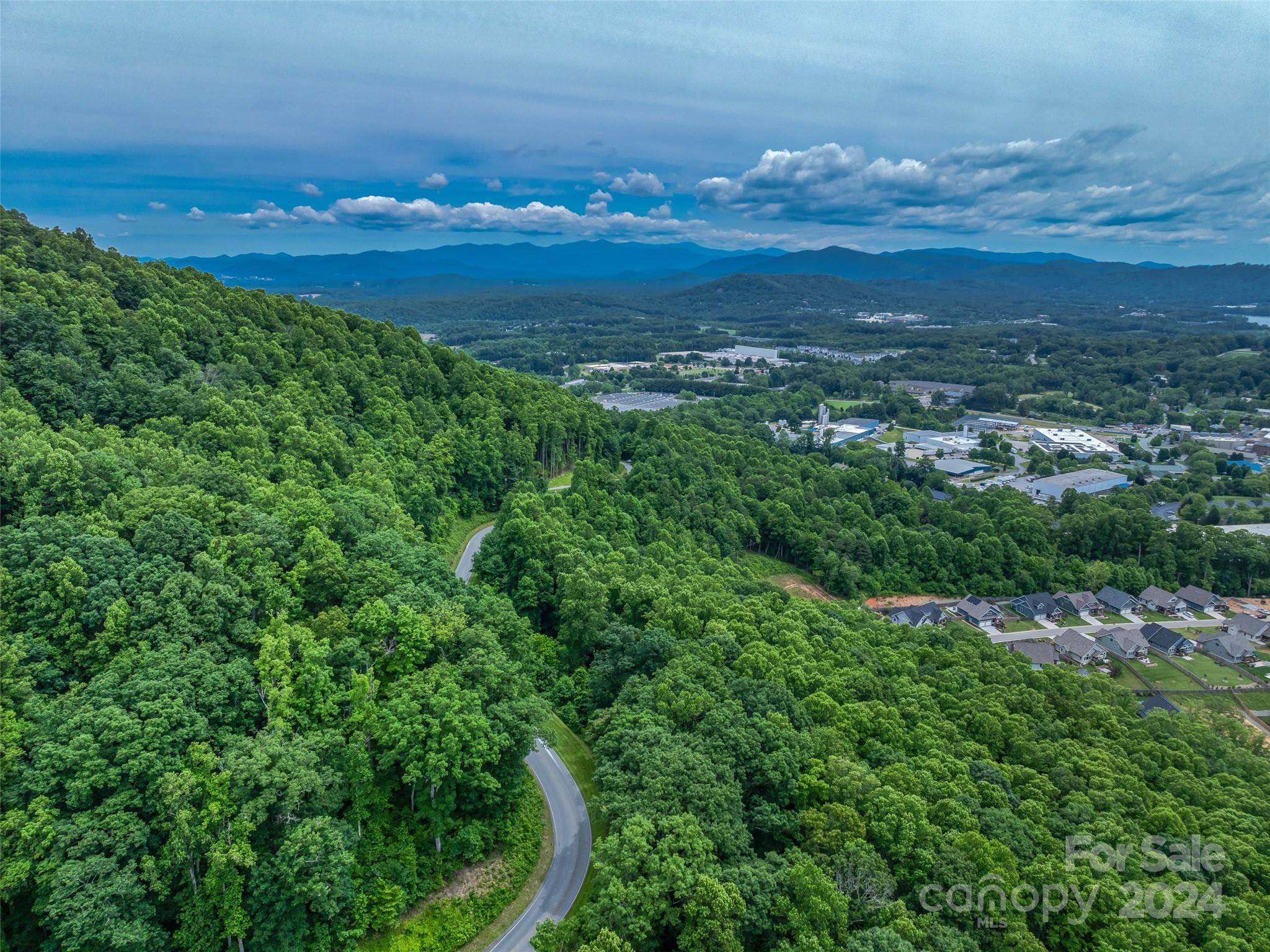 99999 Cliffs Ridge Parkway Arden, NC 28704 - Photo 14 of 23
