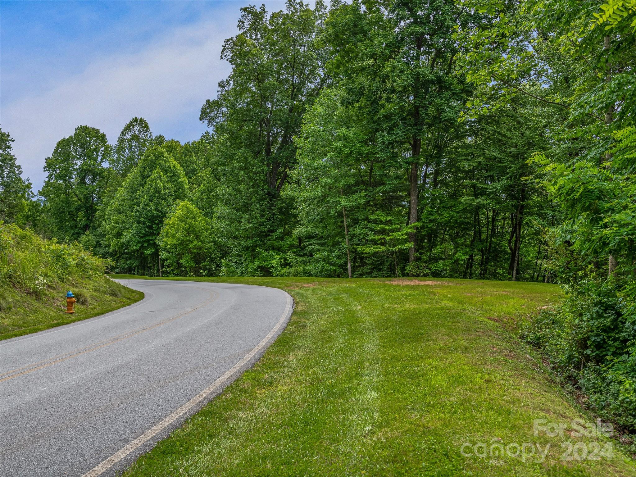 99999 Cliffs Ridge Parkway Arden, NC 28704 - Photo 19 of 23