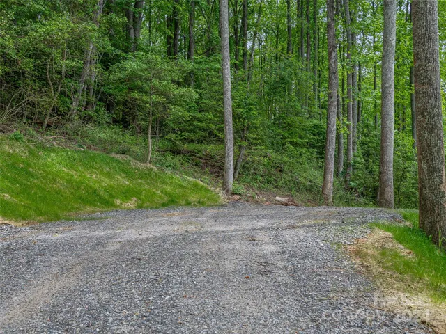 $995,000 | 99999 Cliffs Ridge Parkway, Arden, NC 28704