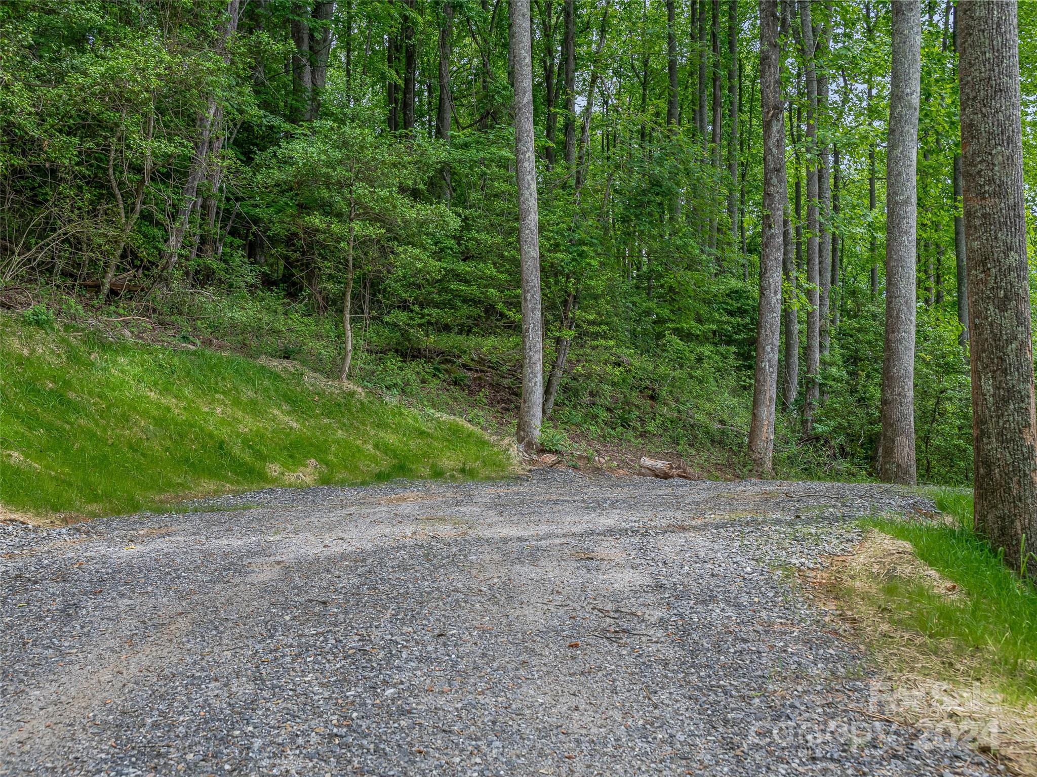 99999 Cliffs Ridge Parkway Arden, NC 28704 - Photo 20 of 23