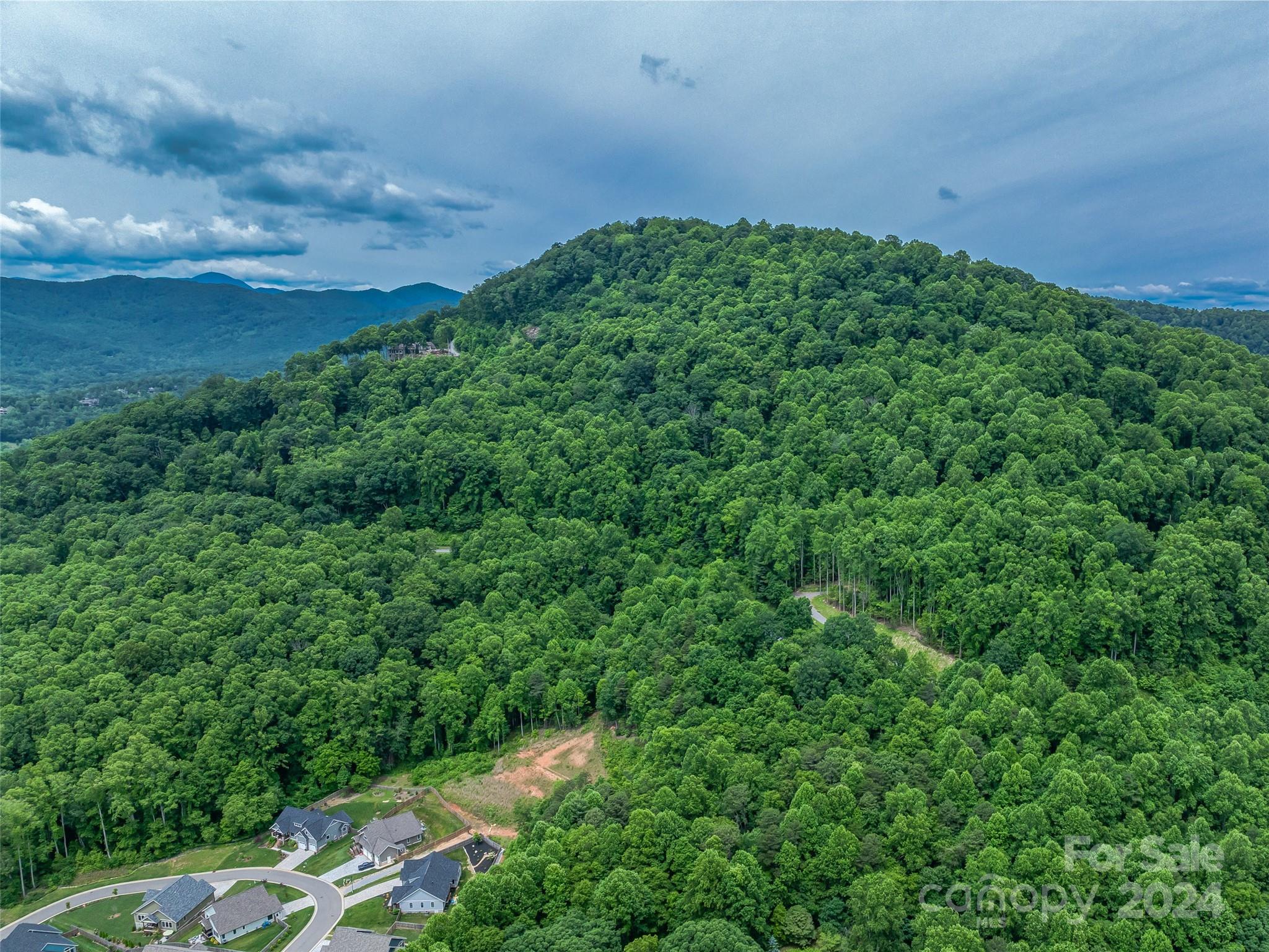 99999 Cliffs Ridge Parkway Arden, NC 28704 - Photo 2 of 23