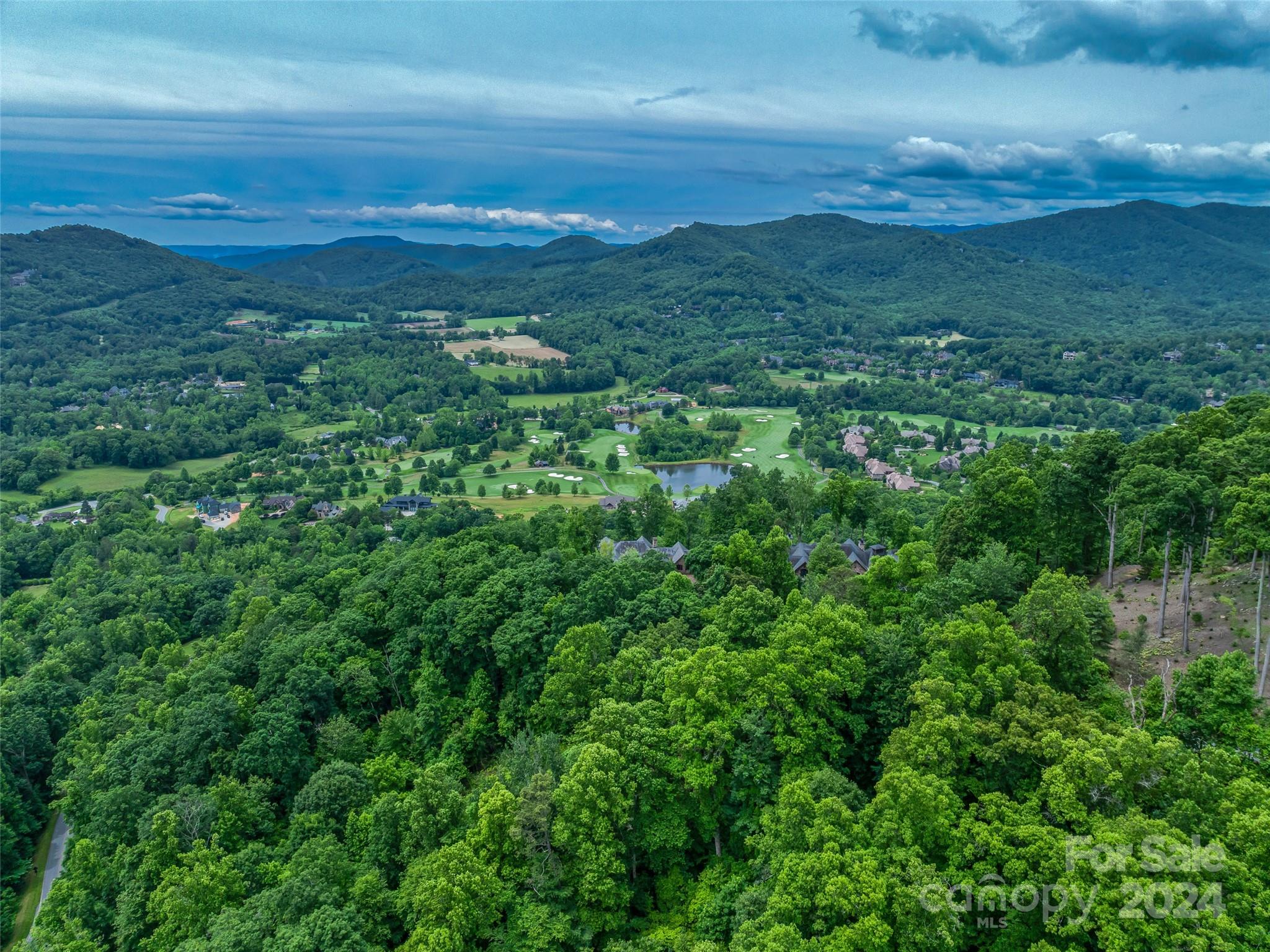 99999 Cliffs Ridge Parkway Arden, NC 28704 - Photo 21 of 23