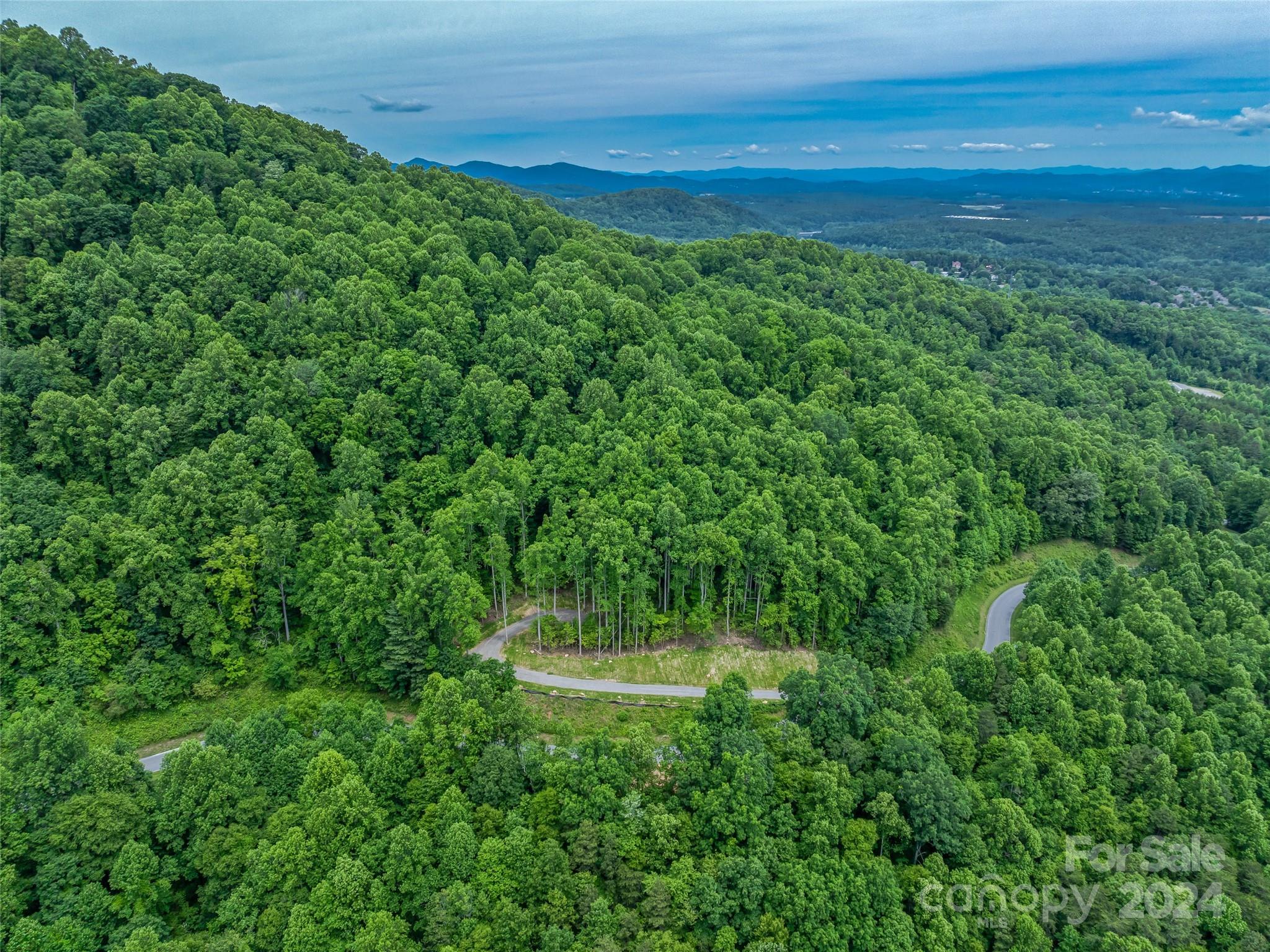 99999 Cliffs Ridge Parkway Arden, NC 28704 - Photo 23 of 23