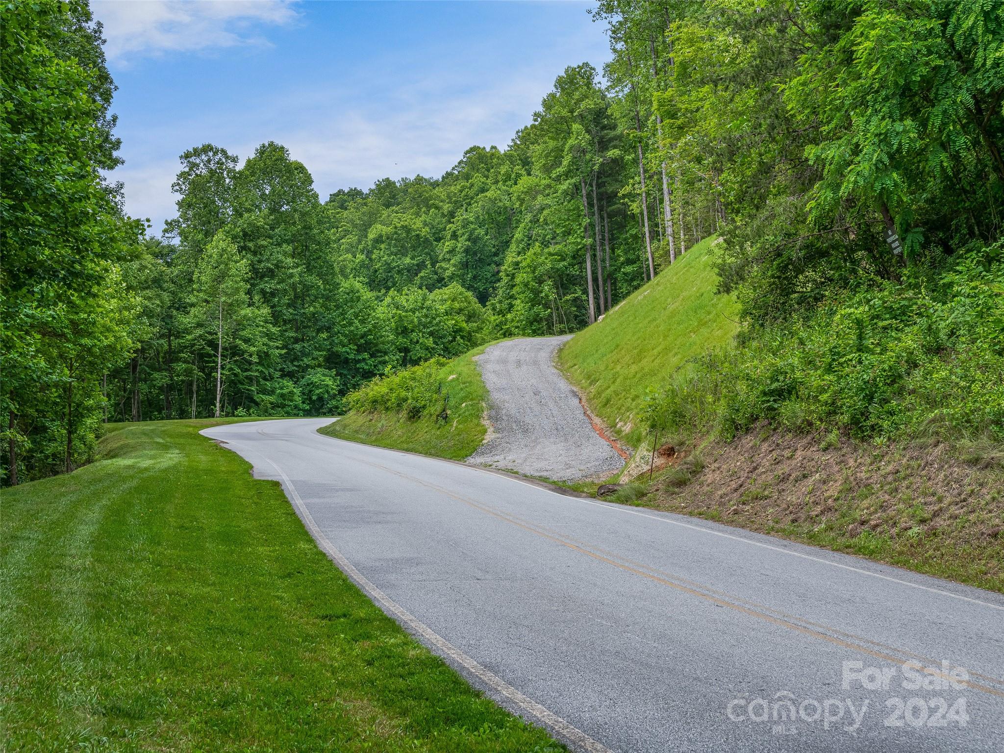 99999 Cliffs Ridge Parkway Arden, NC 28704 - Photo 4 of 23