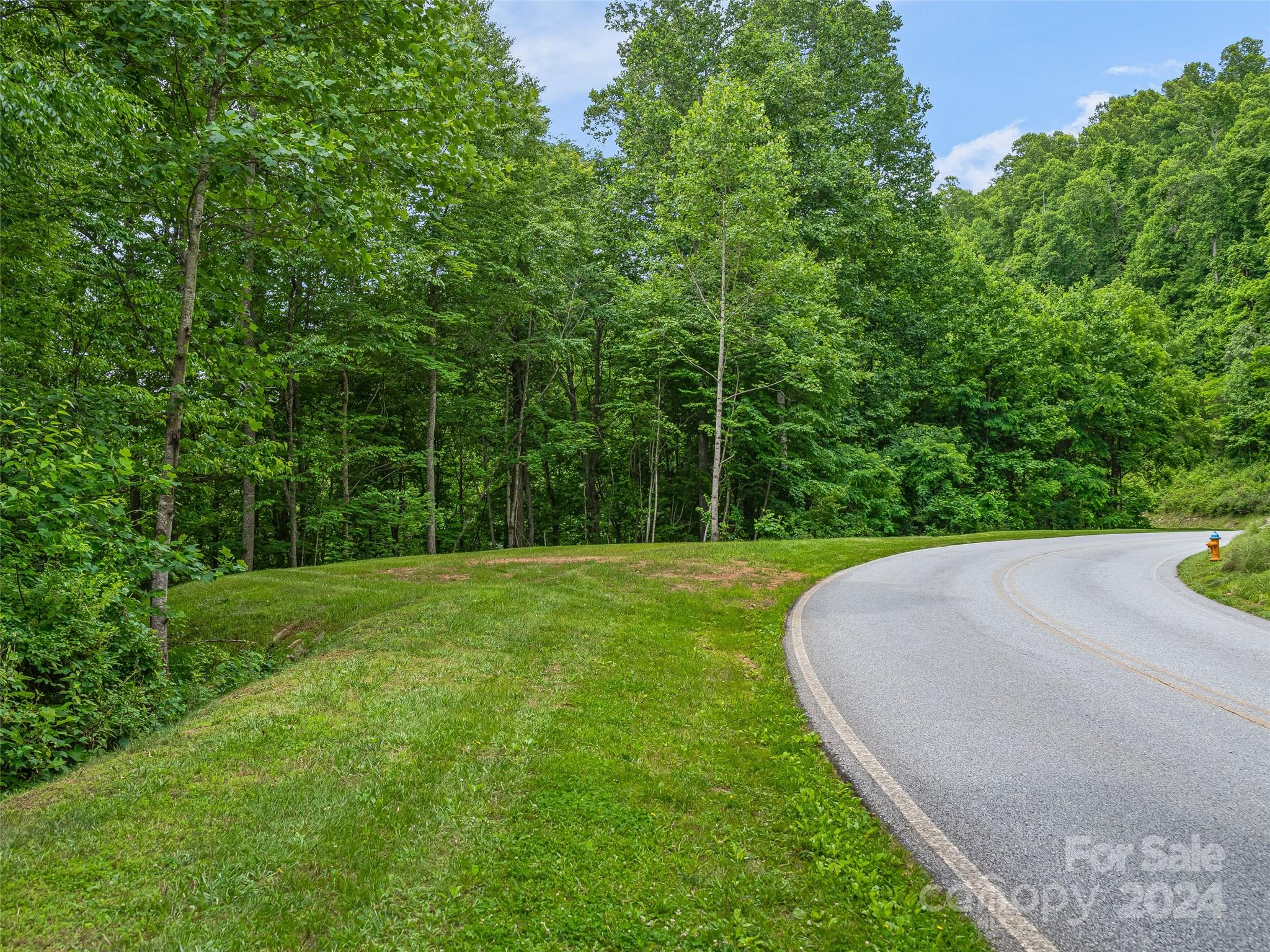 99999 Cliffs Ridge Parkway Arden, NC 28704 - Photo 5 of 23