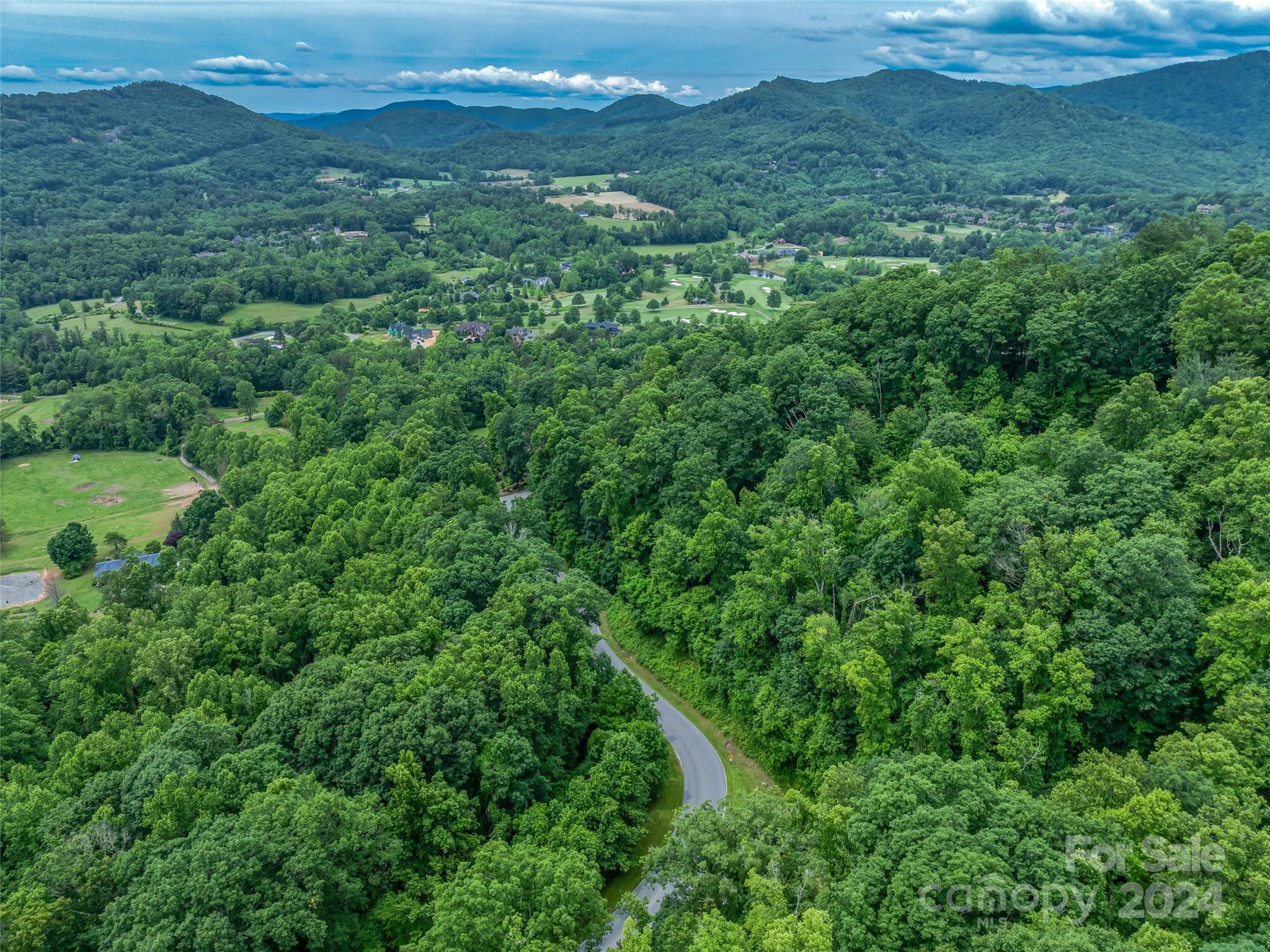 99999 Cliffs Ridge Parkway Arden, NC 28704 - Photo 6 of 23