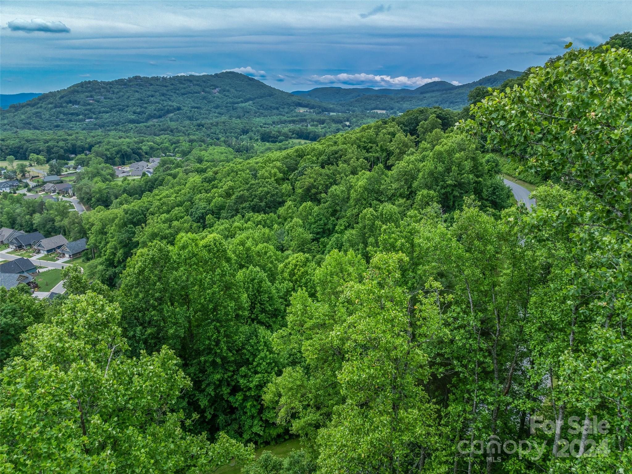 99999 Cliffs Ridge Parkway Arden, NC 28704 - Photo 7 of 23