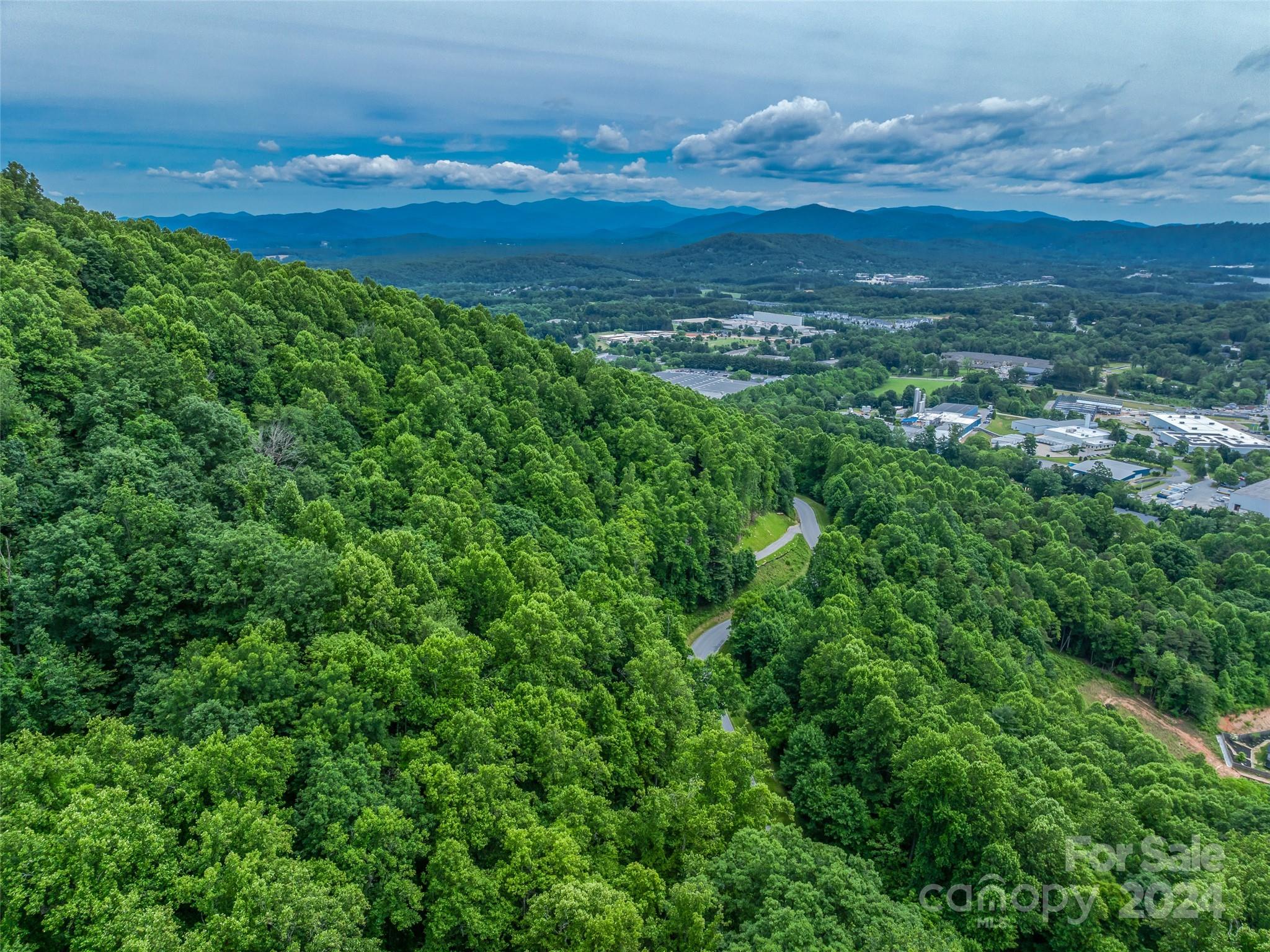 99999 Cliffs Ridge Parkway Arden, NC 28704 - Photo 8 of 23