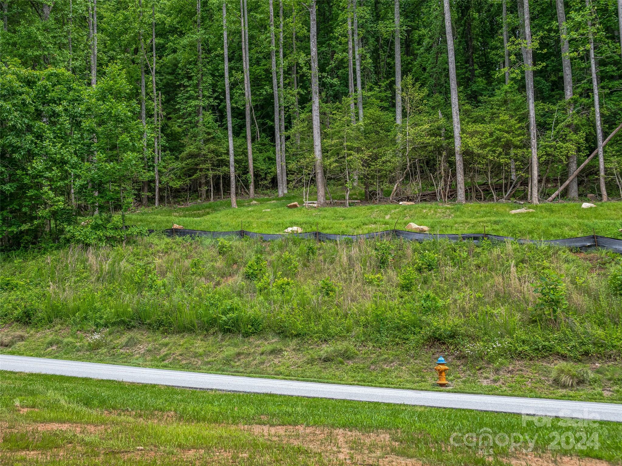 99999 Cliffs Ridge Parkway Arden, NC 28704 - Photo 9 of 23