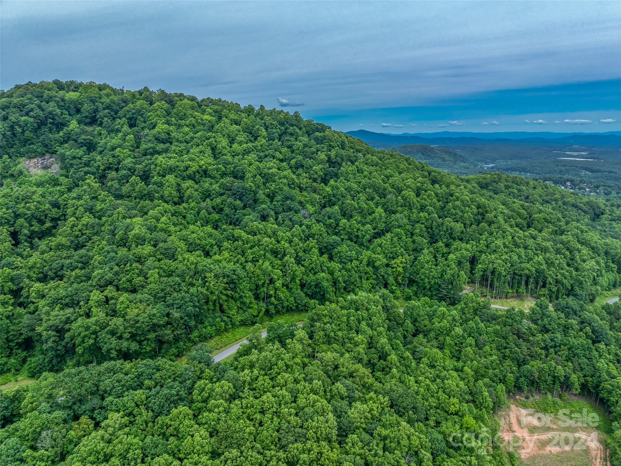 99999 Cliffs Ridge Parkway Arden, NC 28704 - Photo 10 of 23