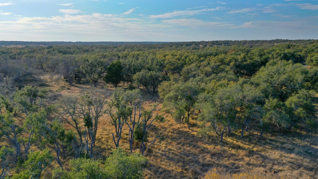 88 Wendel Road Harper, TX 78631 - Photo 18 of 20