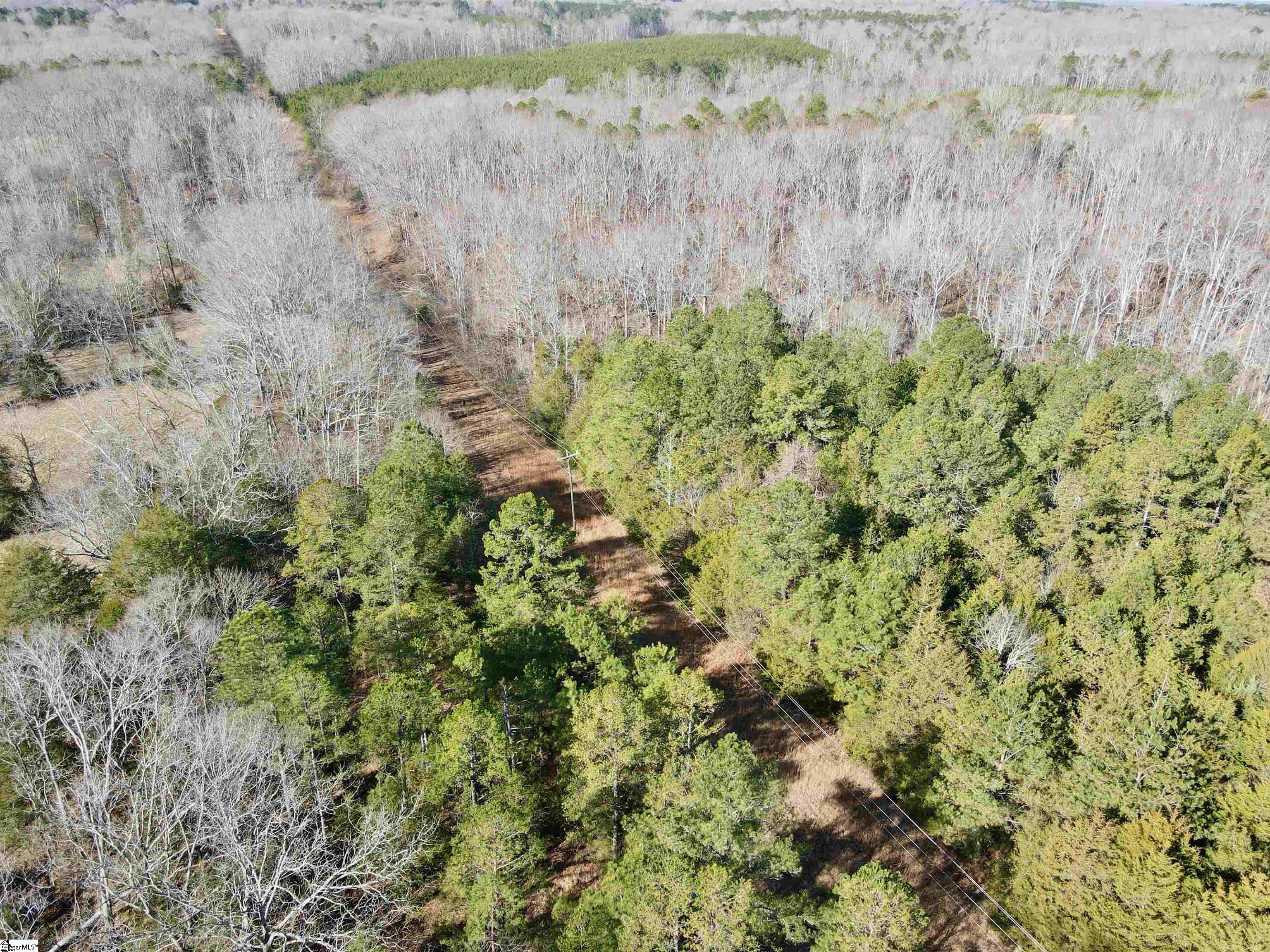 0 Neely Ferry Road Laurens, SC 29360 - Photo 10 of 24 Gallery Image 10