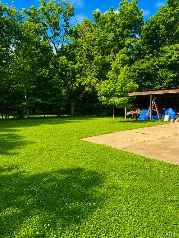 413 Ries Road Ballwin, MO 63021 - Photo 6 of 11
