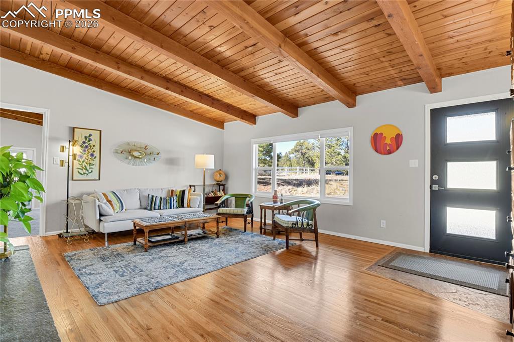7015 McFerran Road Colorado Springs, CO 80908 - Photo 5 of 50 a living room with furniture and wooden floor
