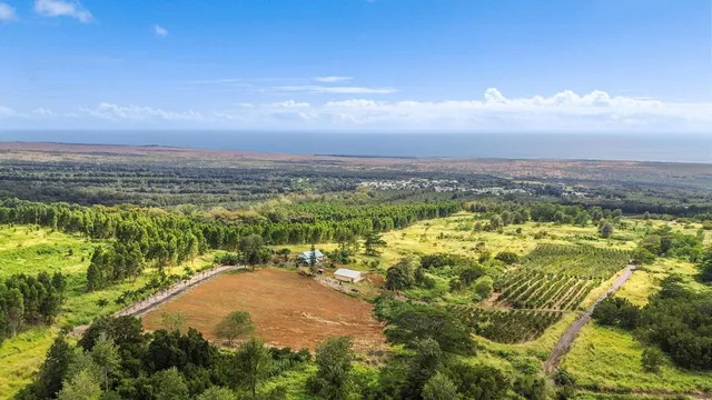 $1,999,999 | 96-3090 Meyer Road, Pahala, HI 96777