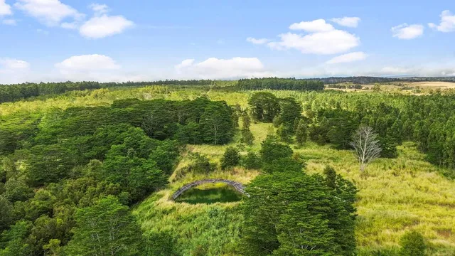$1,999,999 | 96-3090 Meyer Road, Pahala, HI 96777