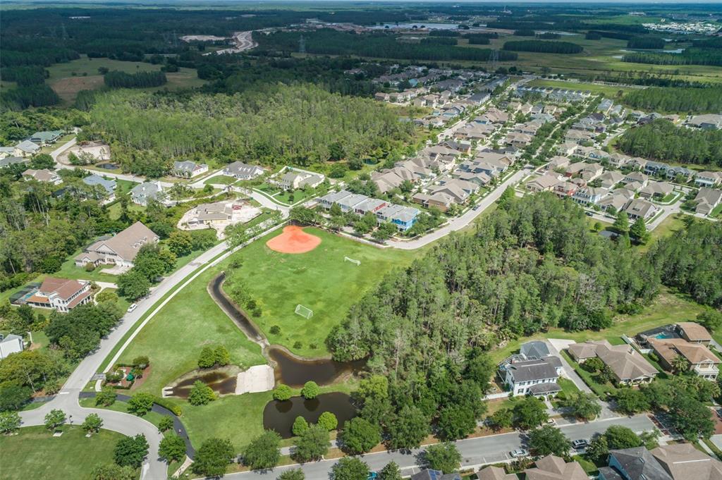 10125 Palladio Drive New Port Richey, FL 34655 - Photo 60 of 97 an aerial view of residential houses with outdoor space and trees