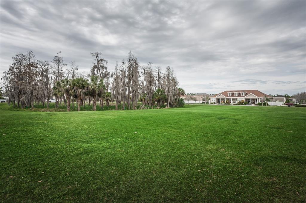 10125 Palladio Drive New Port Richey, FL 34655 - Photo 66 of 97