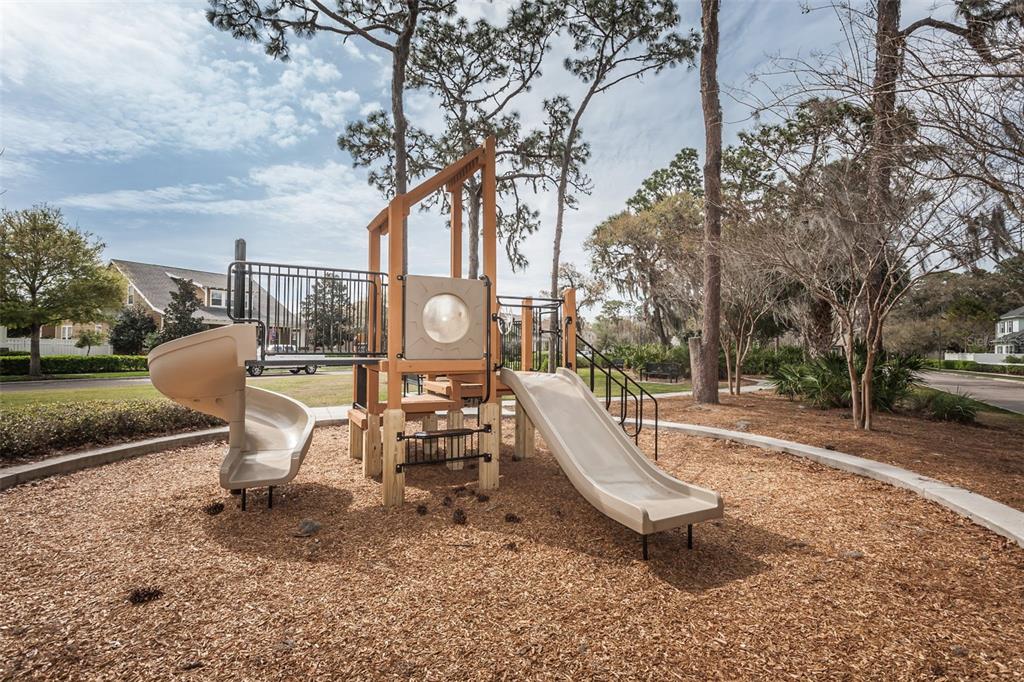 10125 Palladio Drive New Port Richey, FL 34655 - Photo 70 of 97