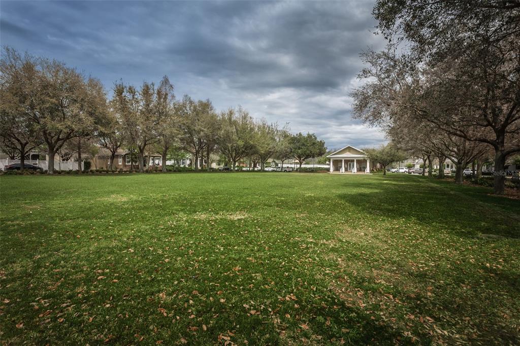 10125 Palladio Drive New Port Richey, FL 34655 - Photo 75 of 97 a view of a field of grass and trees