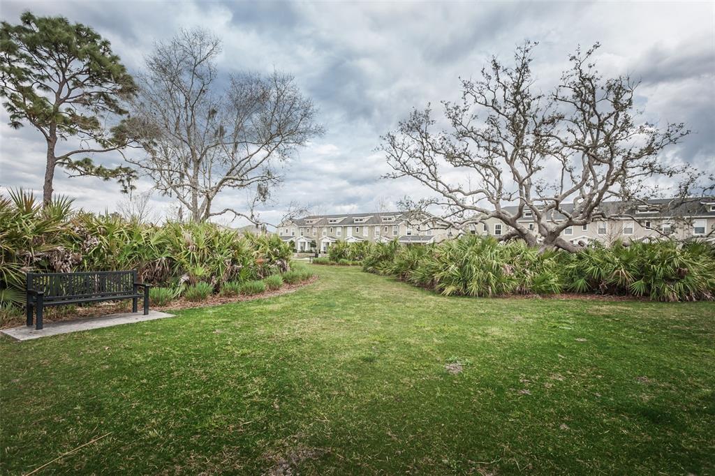 10125 Palladio Drive New Port Richey, FL 34655 - Photo 76 of 97 a view of a field with a tree