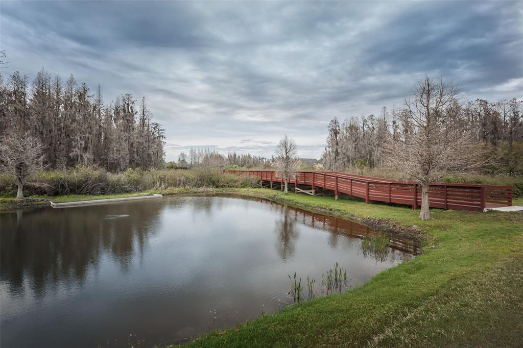10125 Palladio Drive New Port Richey, FL 34655 - Photo 93 of 97