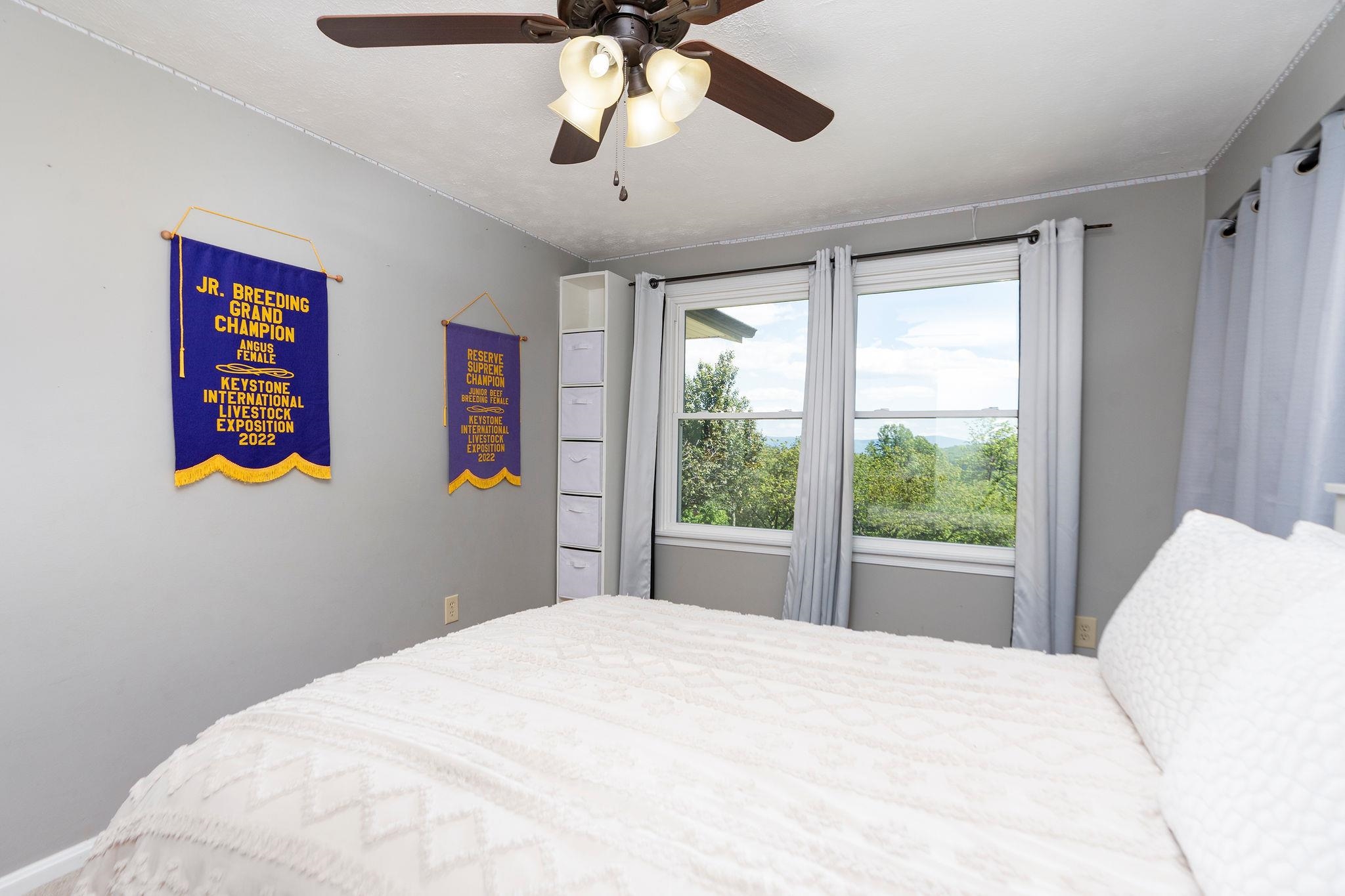 2061 Old Greenville Road Staunton, VA 24401 - Photo 24 of 74
