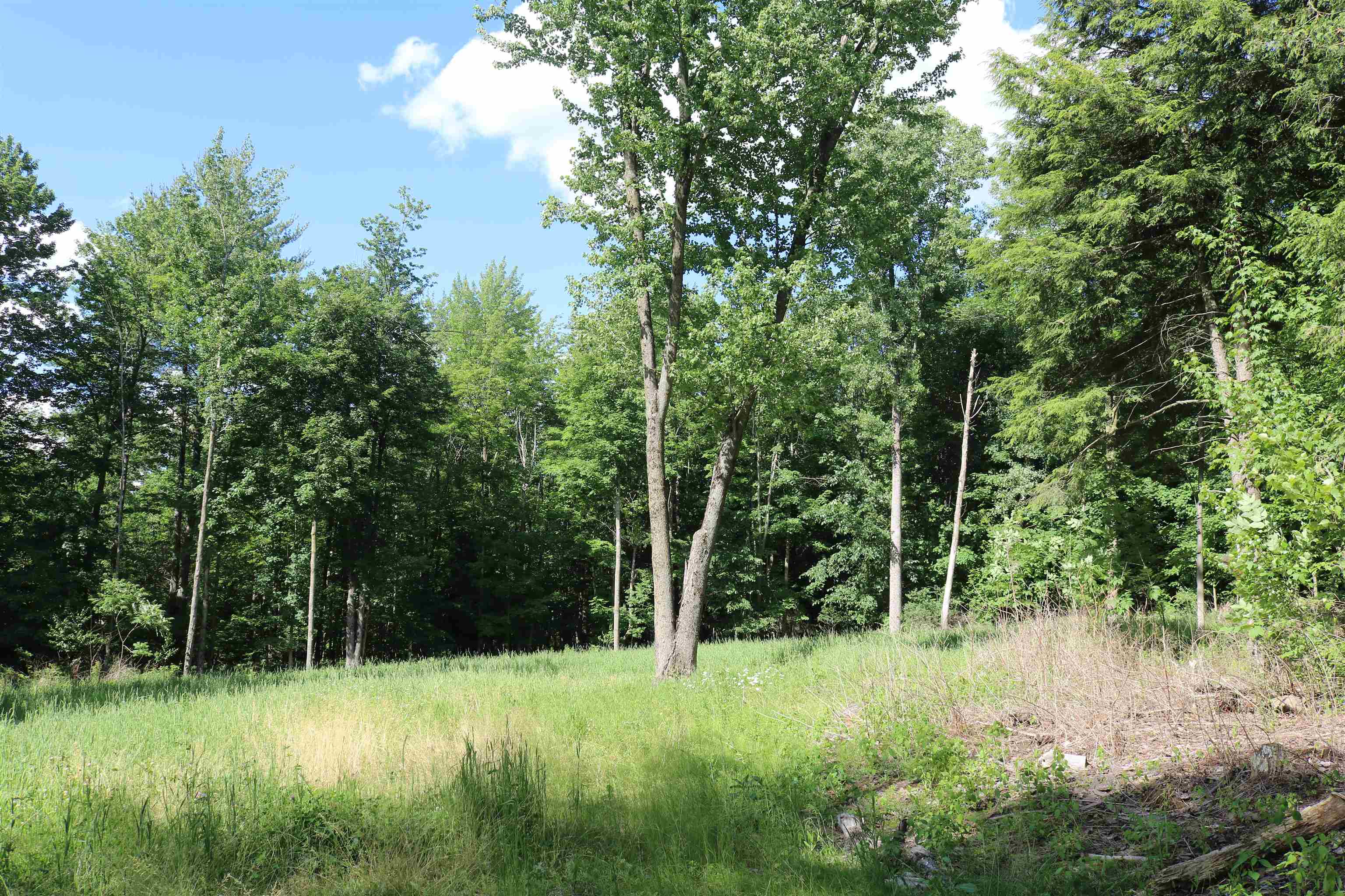 1579 Davis Road, Unit 4 & 5 Enosburg Falls, VT 05450 - Photo 1 of 4 Gallery Image 1