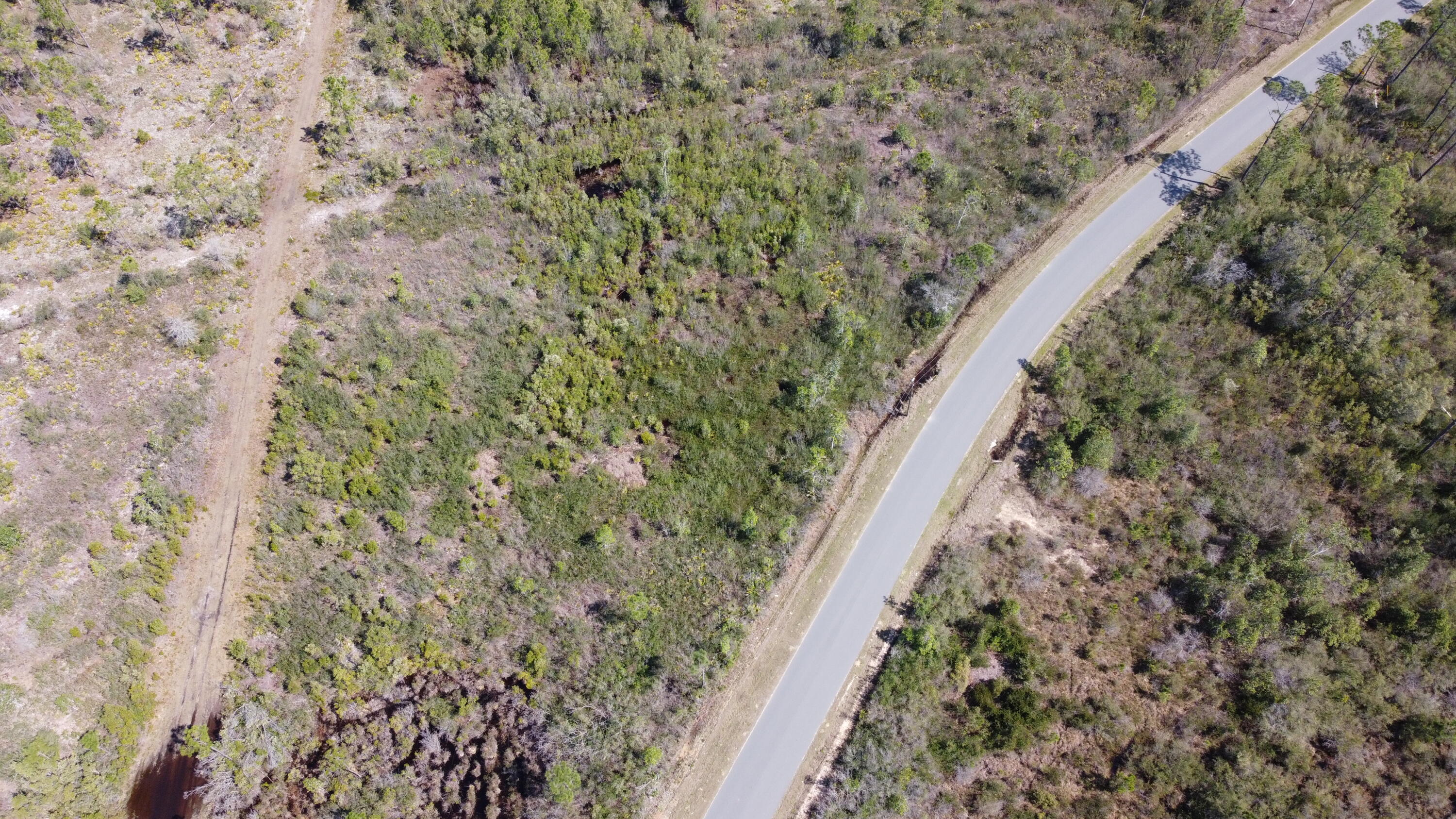 10-acres Cowels Road Fountain, FL 32438 - Photo 11 of 15 DF78BB91-5656-4F5F-8197-F913D0A4248B