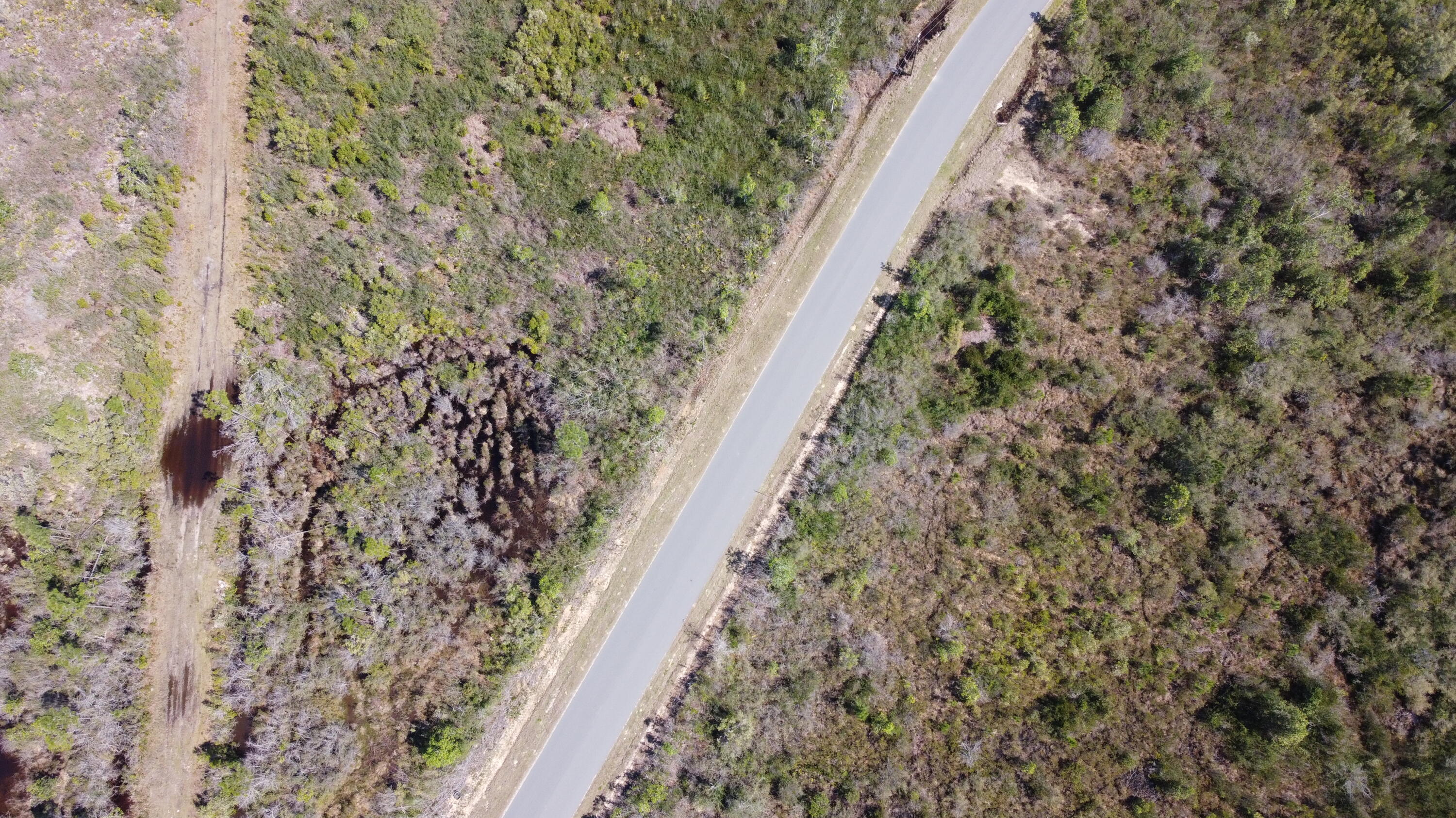 10-acres Cowels Road Fountain, FL 32438 - Photo 9 of 15 76D2FDED-CCD6-4A0F-A3BE-F52750BA9912