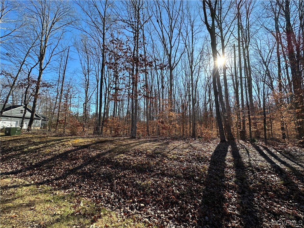Lot 123 Raven Road Bumpass, VA 23024 - Photo 8 of 10 Gallery Image 8
