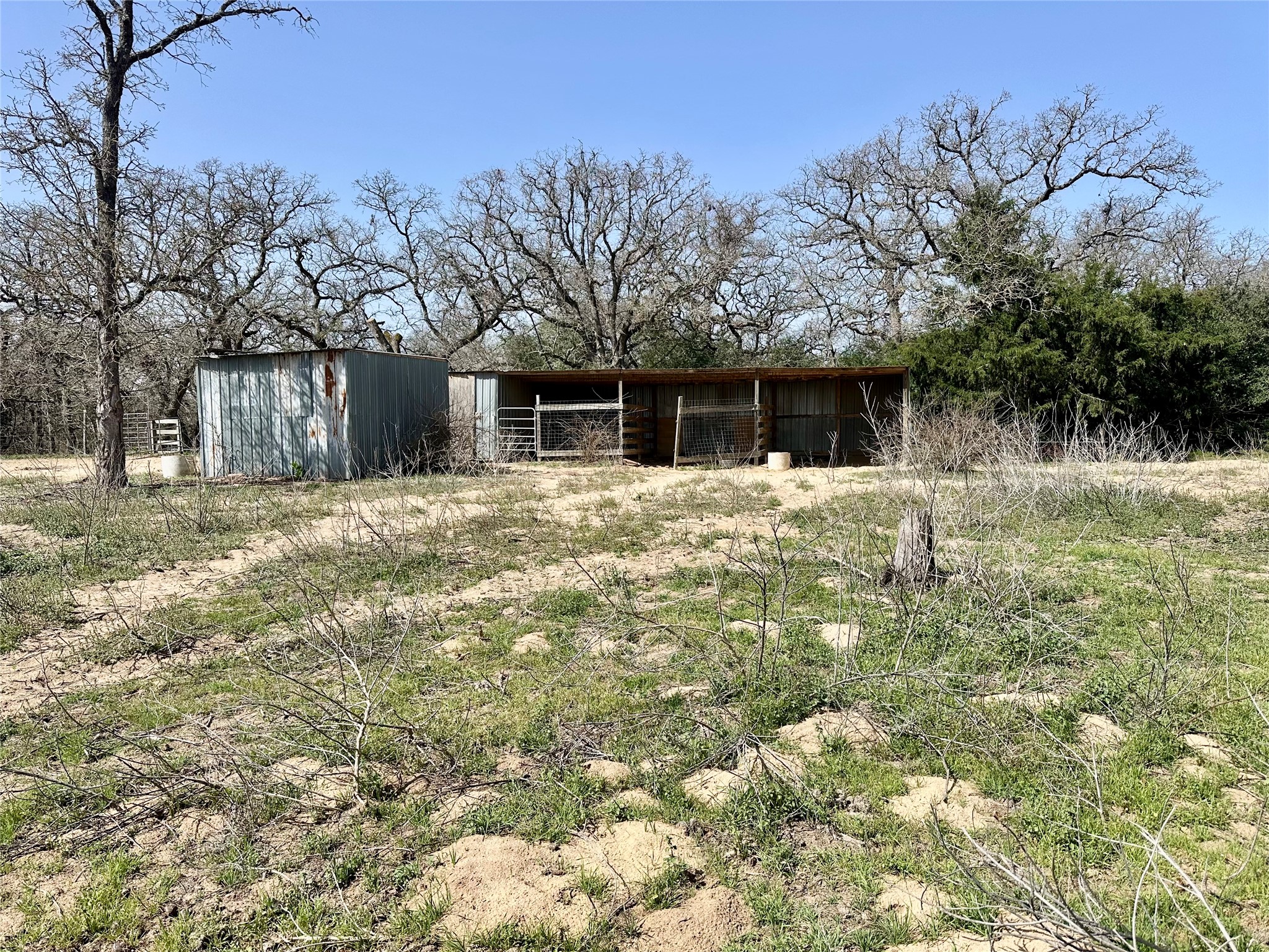 1218 Private Road 3063 Thrall, TX 76578 - Photo 22 of 29 a backyard of a house with yard and outdoor seating