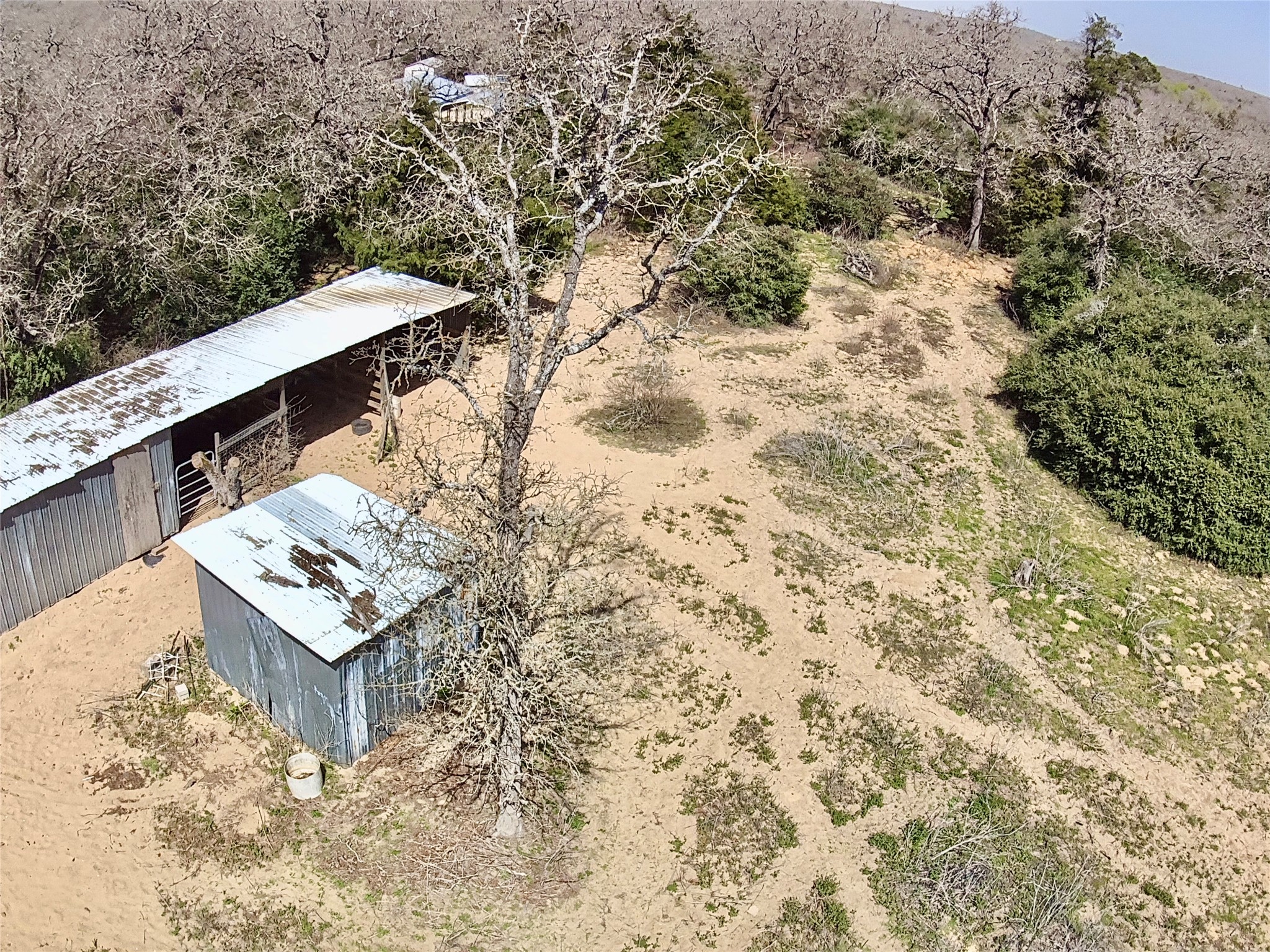 1218 Private Road 3063 Thrall, TX 76578 - Photo 23 of 29 a view of a tree in front of a house