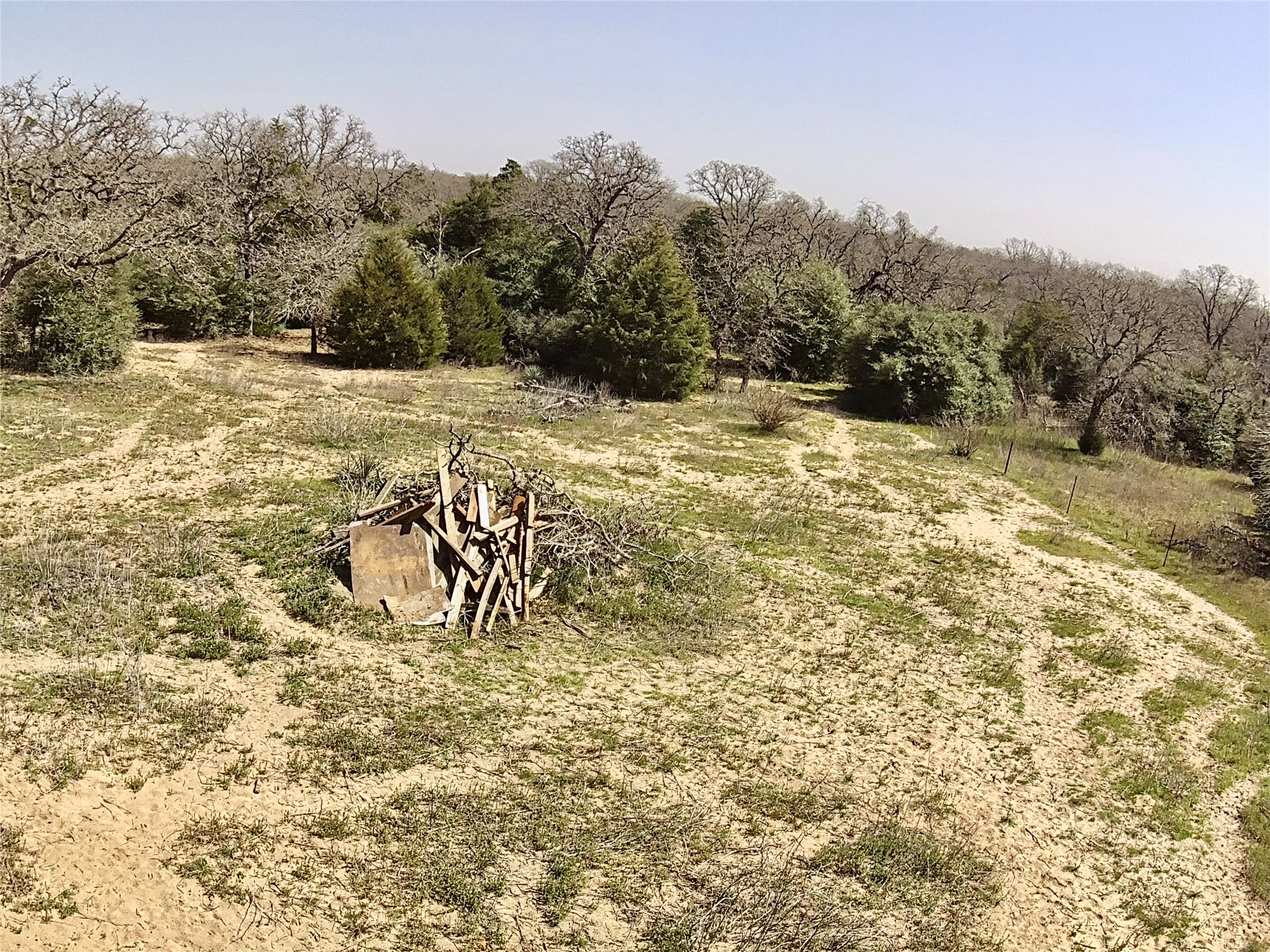 1218 Private Road 3063 Thrall, TX 76578 - Photo 24 of 29 a view of a yard with a tree