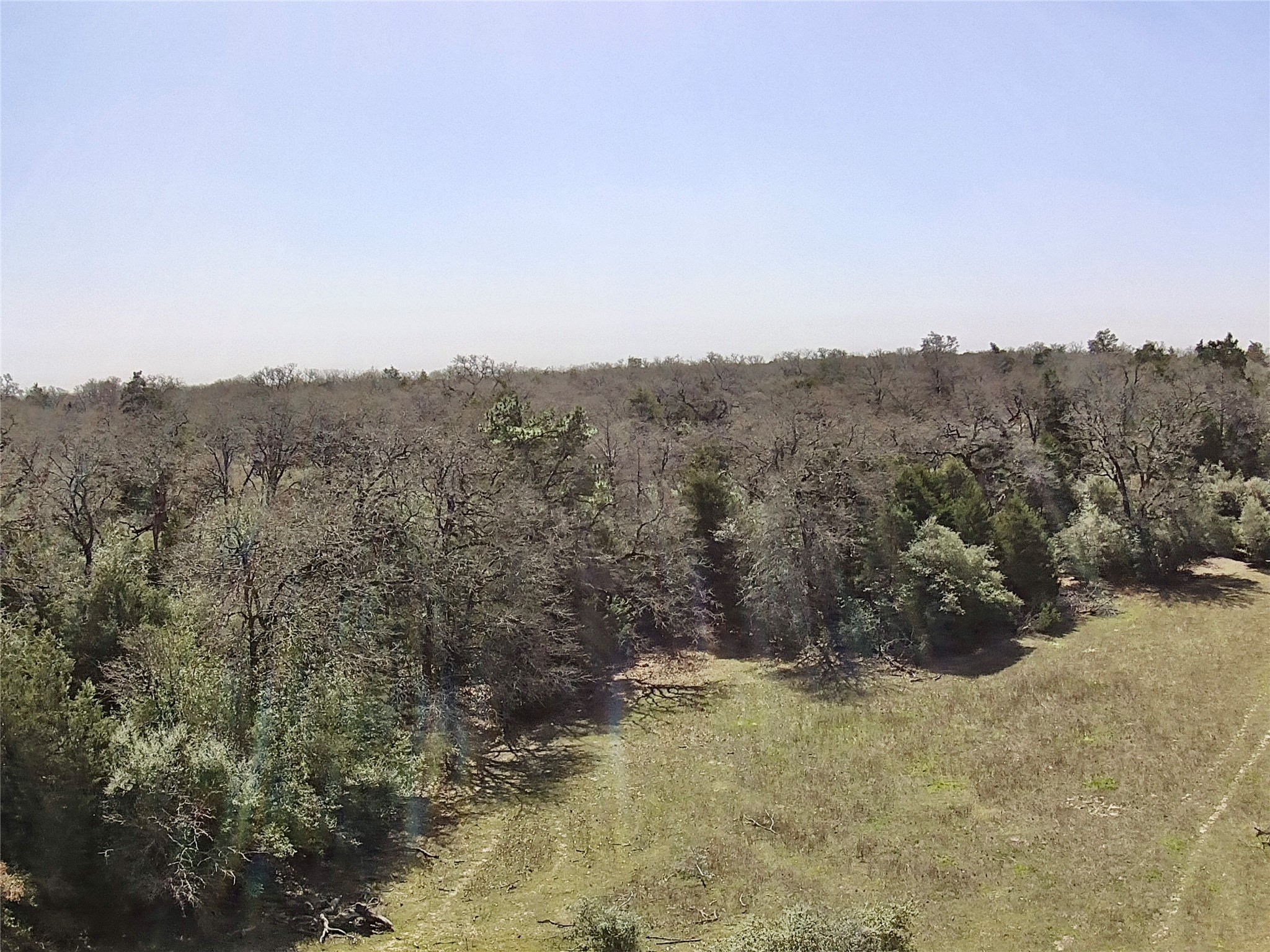 1218 Private Road 3063 Thrall, TX 76578 - Photo 26 of 29 a view of a covered with trees in the background