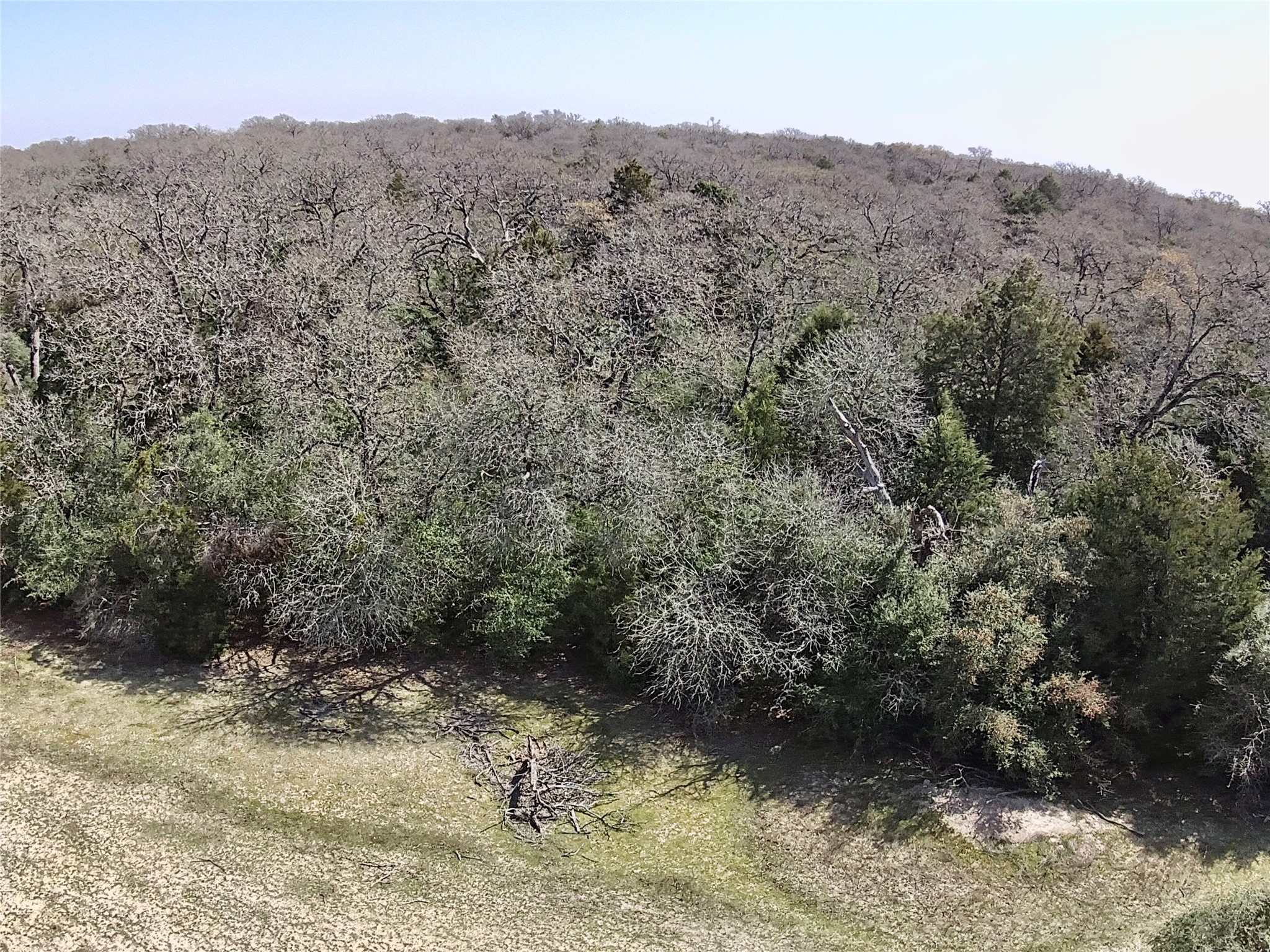 1218 Private Road 3063 Thrall, TX 76578 - Photo 27 of 29 a view of a yard with a tree