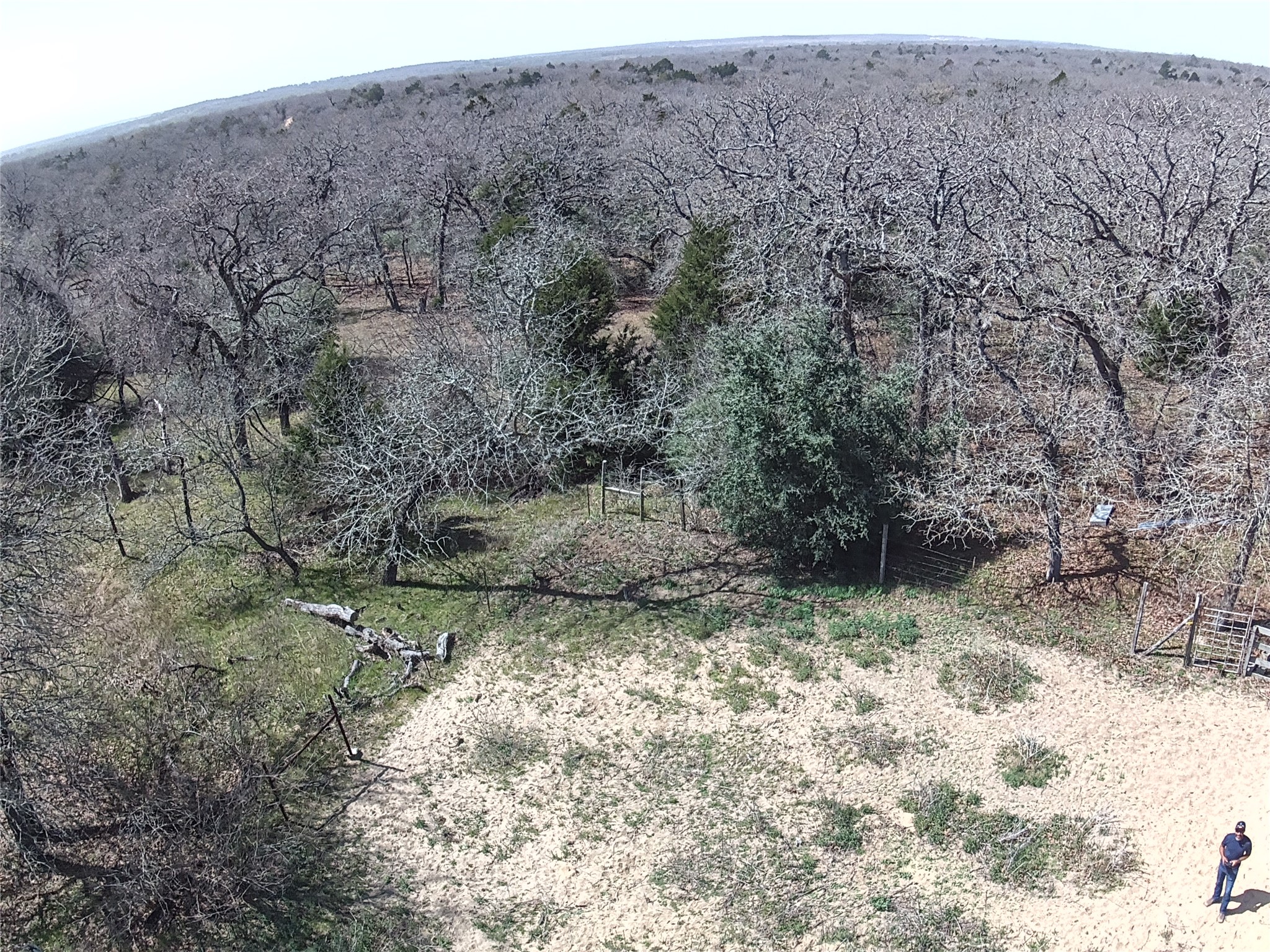 1218 Private Road 3063 Thrall, TX 76578 - Photo 28 of 29 a view of a dry yard with trees