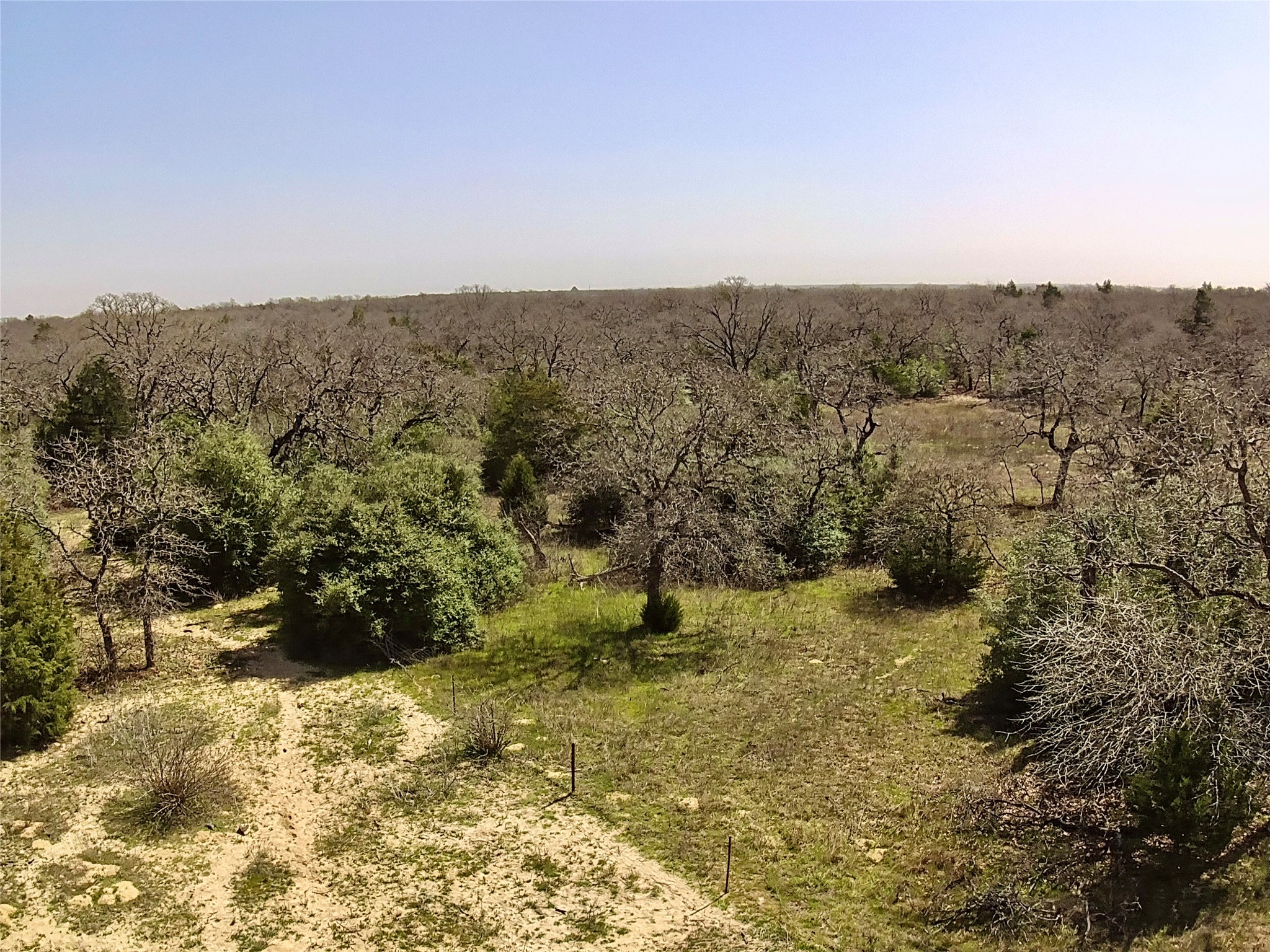 1218 Private Road 3063 Thrall, TX 76578 - Photo 29 of 29