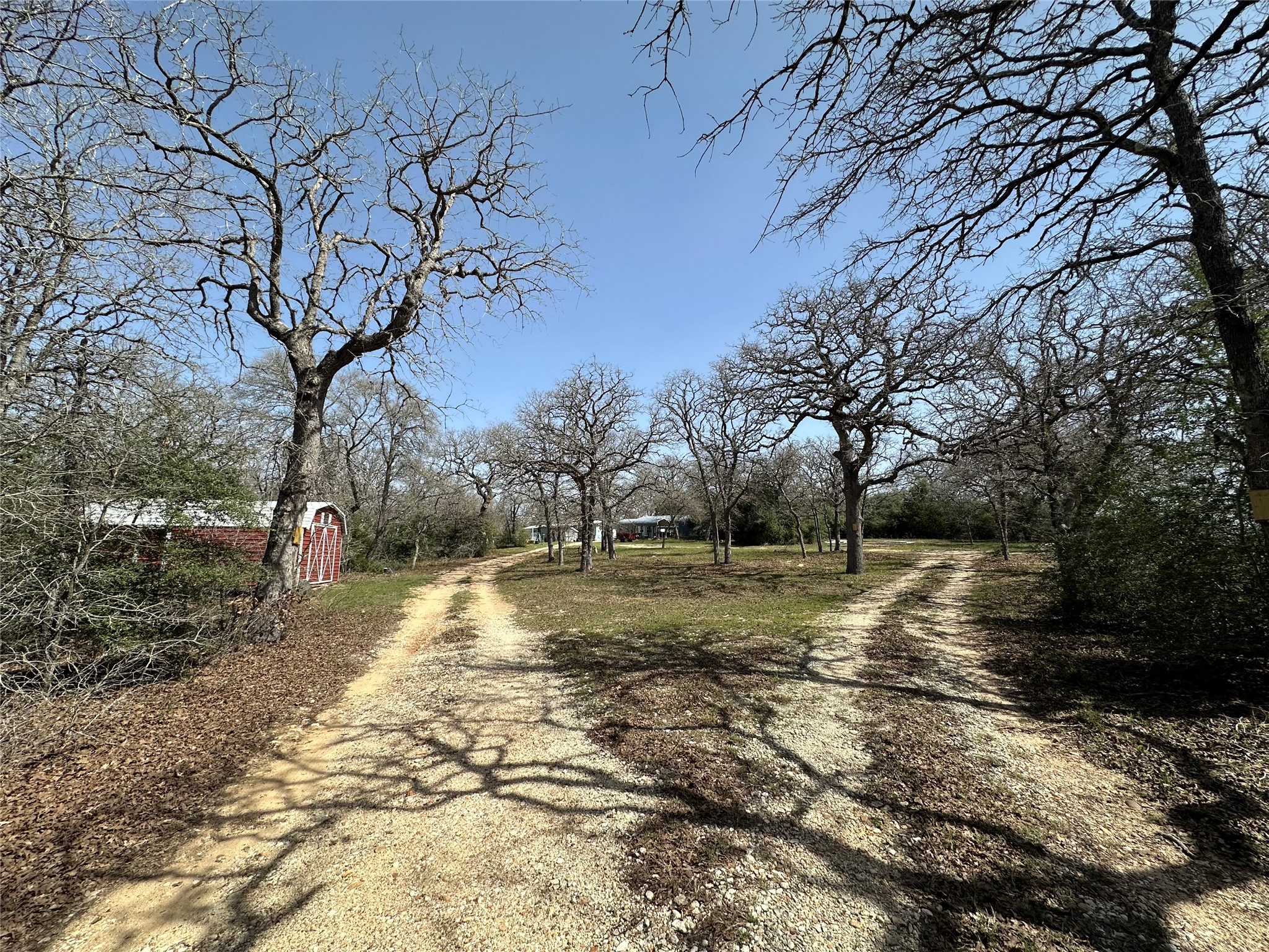 1218 Private Road 3063 Thrall, TX 76578 - Photo 3 of 29 a view of yard with trees