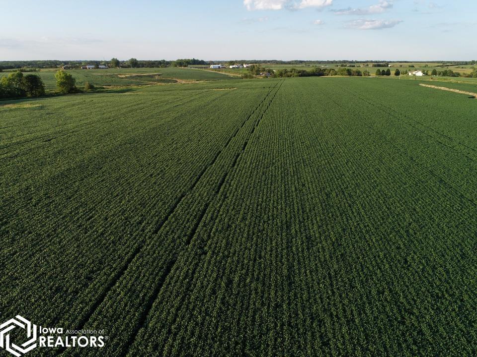 22271 Bluegrass Road Ottumwa, IA 52501 - Photo 7 of 18 Gallery Image 7