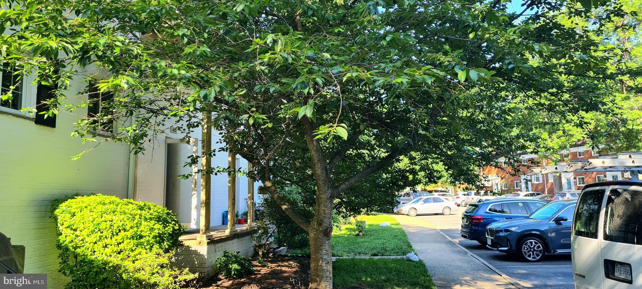 1622 Ripon Place Alexandria, VA 22302 - Photo 10 of 11 Exterior