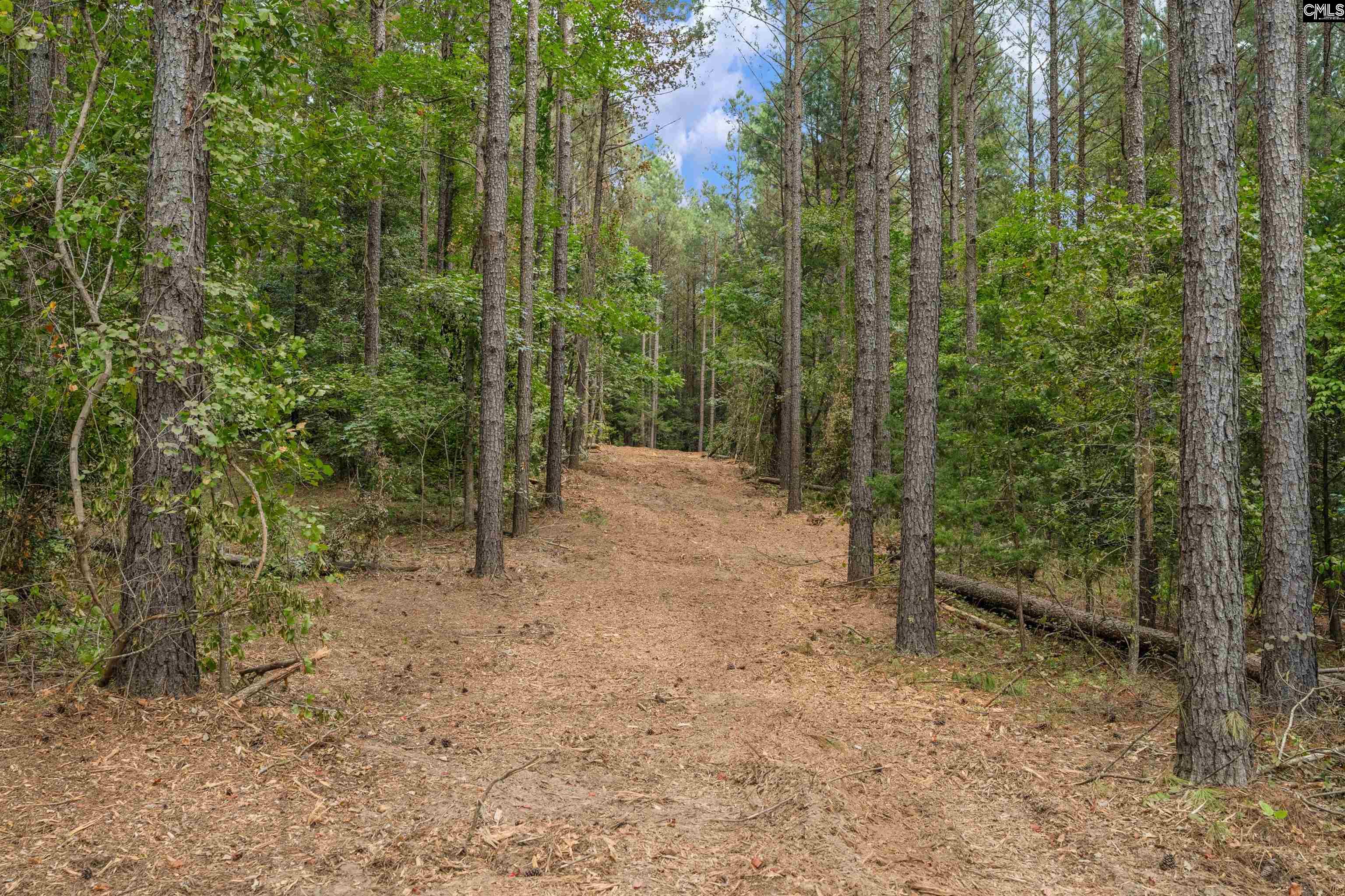 0 Penner Road, Unit 10 Jenkinsville, SC 29065 - Photo 30 of 43