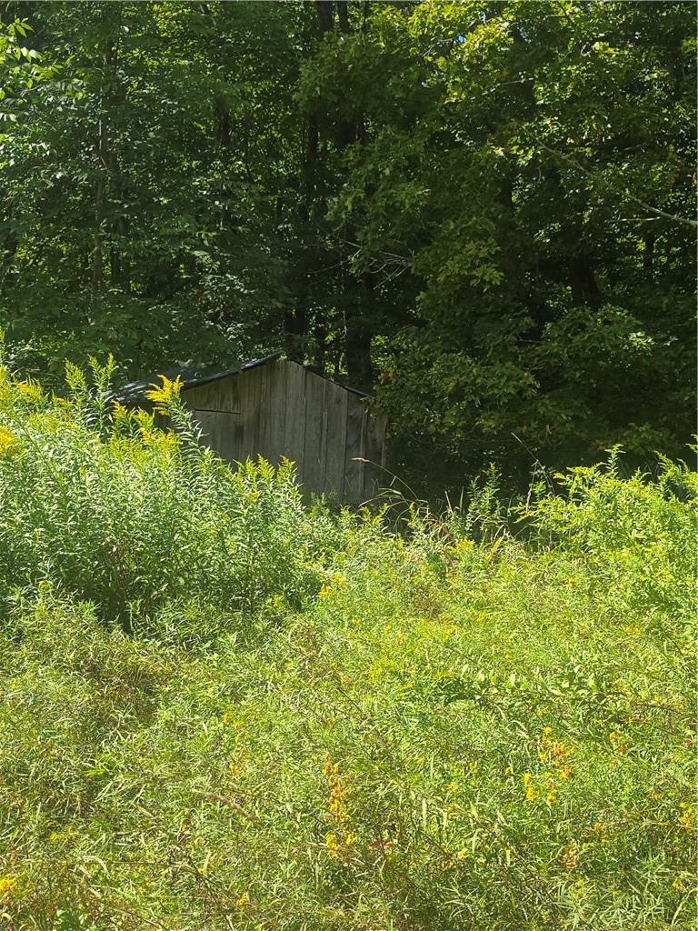 213 Geiss Road Greene, NY 13787 - Photo 11 of 24 Gallery Image 11