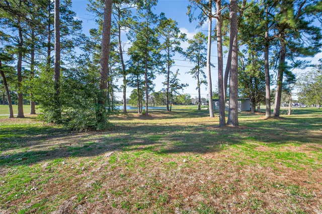 a view of a yard with large trees